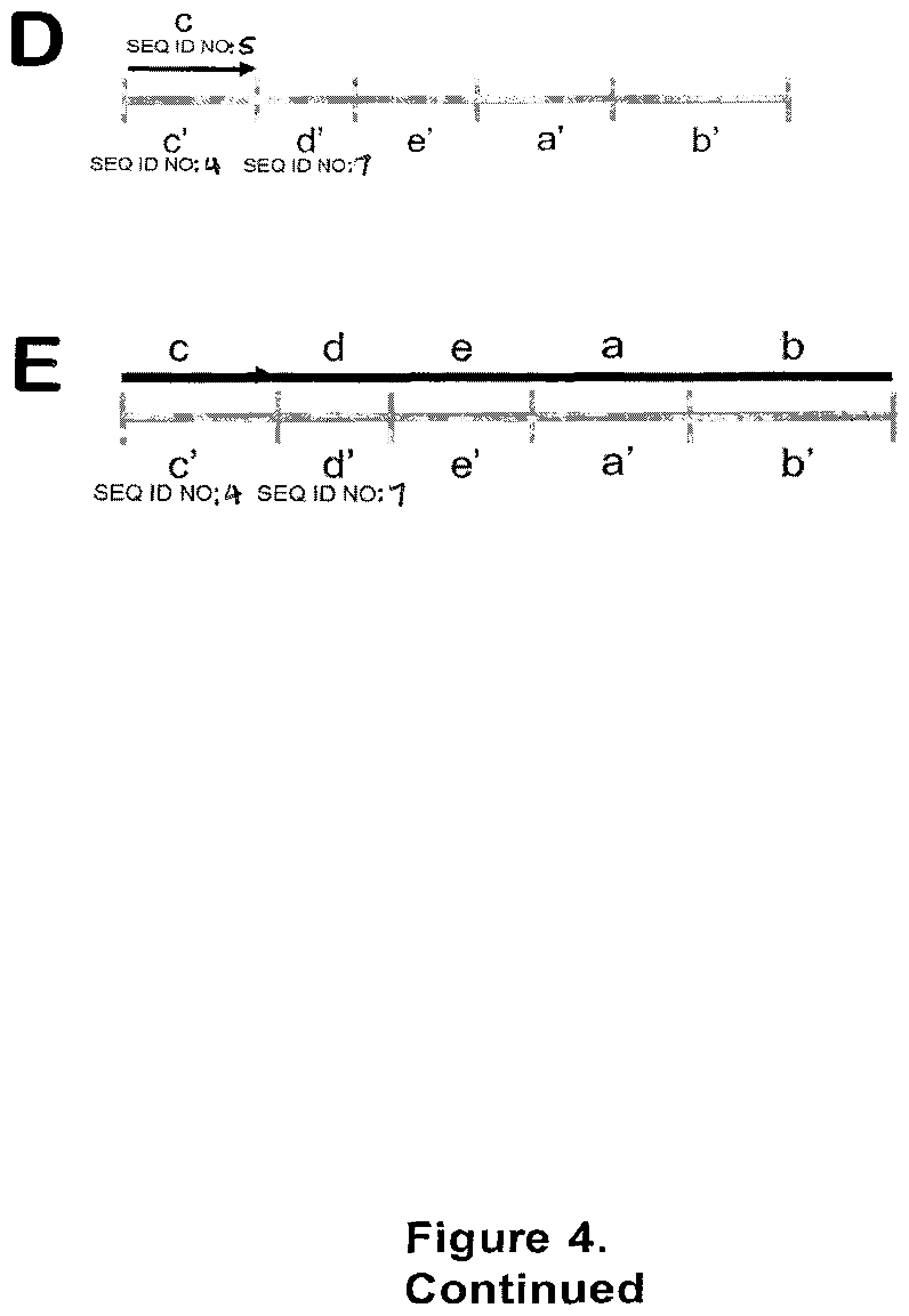 Patent US12378606 Figure 5 – Probes and methods for measuring tandem repeats