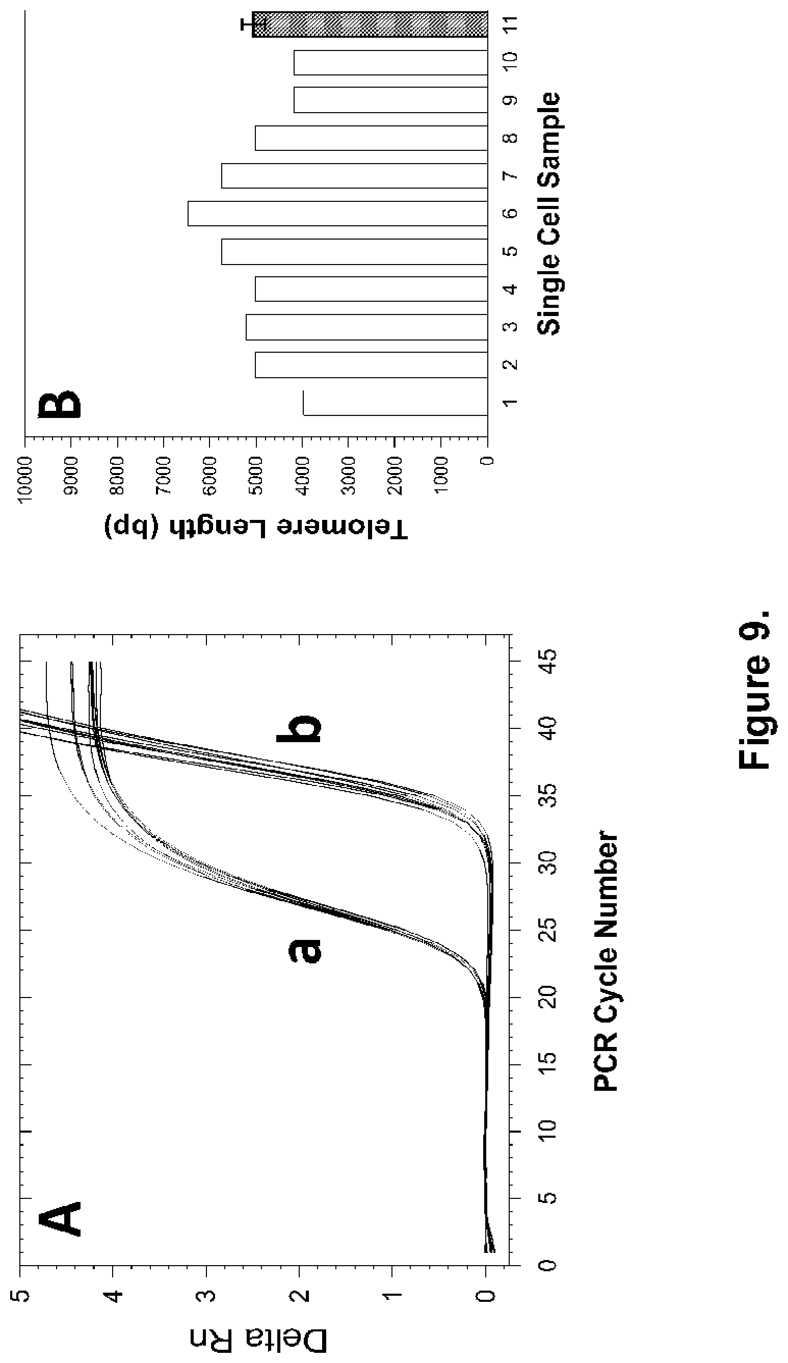 Patent US12378606 Figure 11 – Probes and methods for measuring tandem repeats