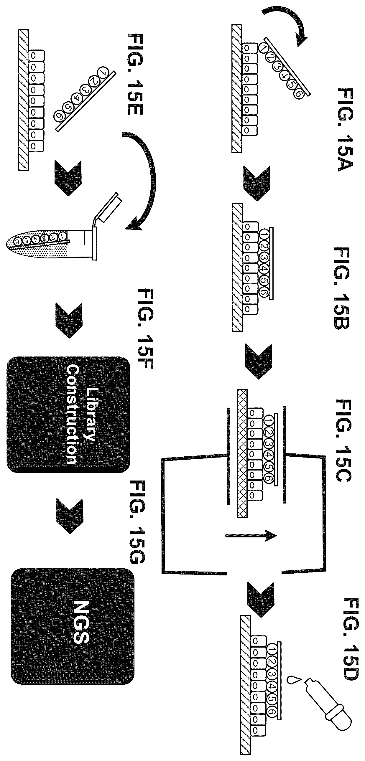 Patent US12378607 Figure 15 – Method for transposase-mediated spatial tagging and analyzing genomic DNA in a biological sample
