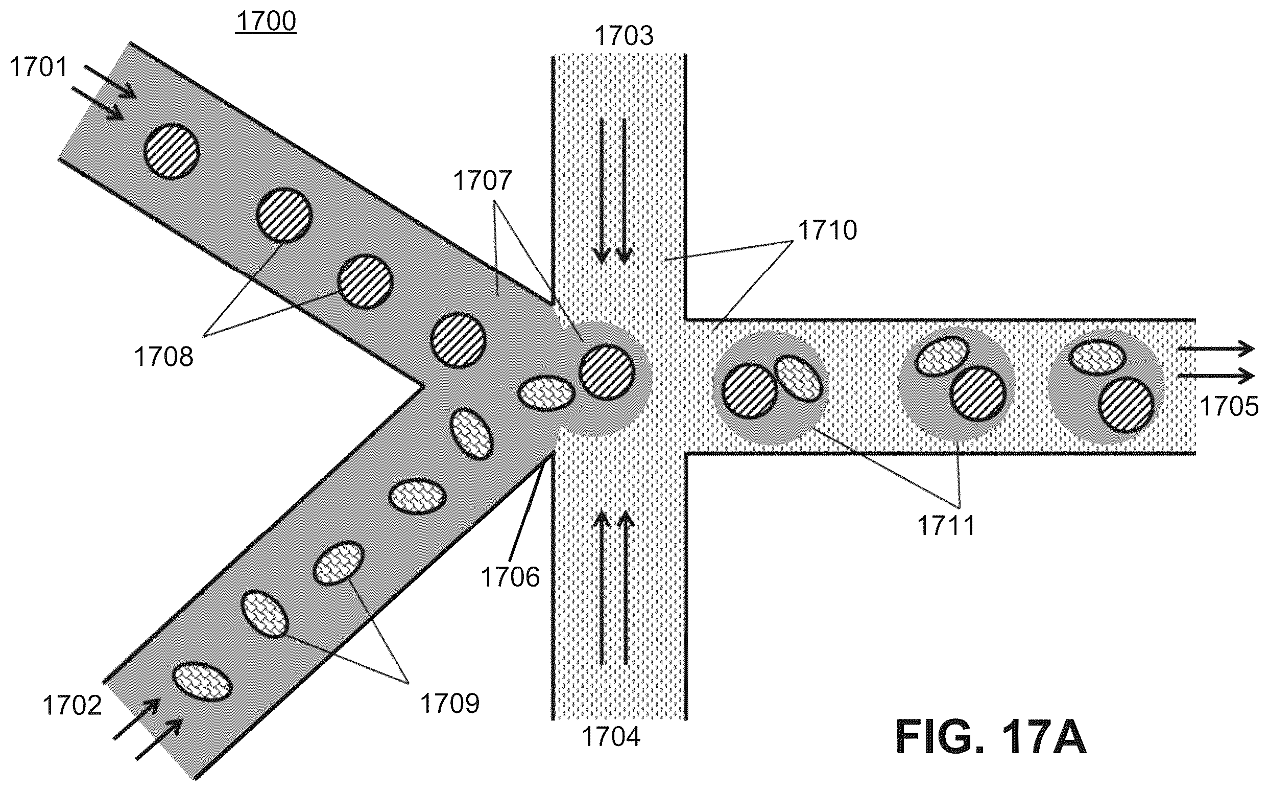 Patent US12378607 Figure 17 – Method for transposase-mediated spatial tagging and analyzing genomic DNA in a biological sample