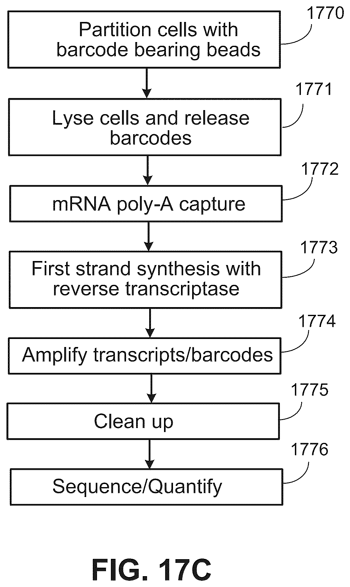 Patent US12378607 Figure 19 – Method for transposase-mediated spatial tagging and analyzing genomic DNA in a biological sample