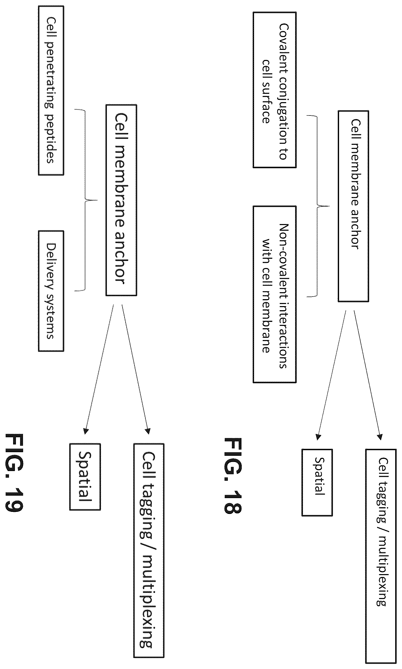 Patent US12378607 Figure 20 – Method for transposase-mediated spatial tagging and analyzing genomic DNA in a biological sample