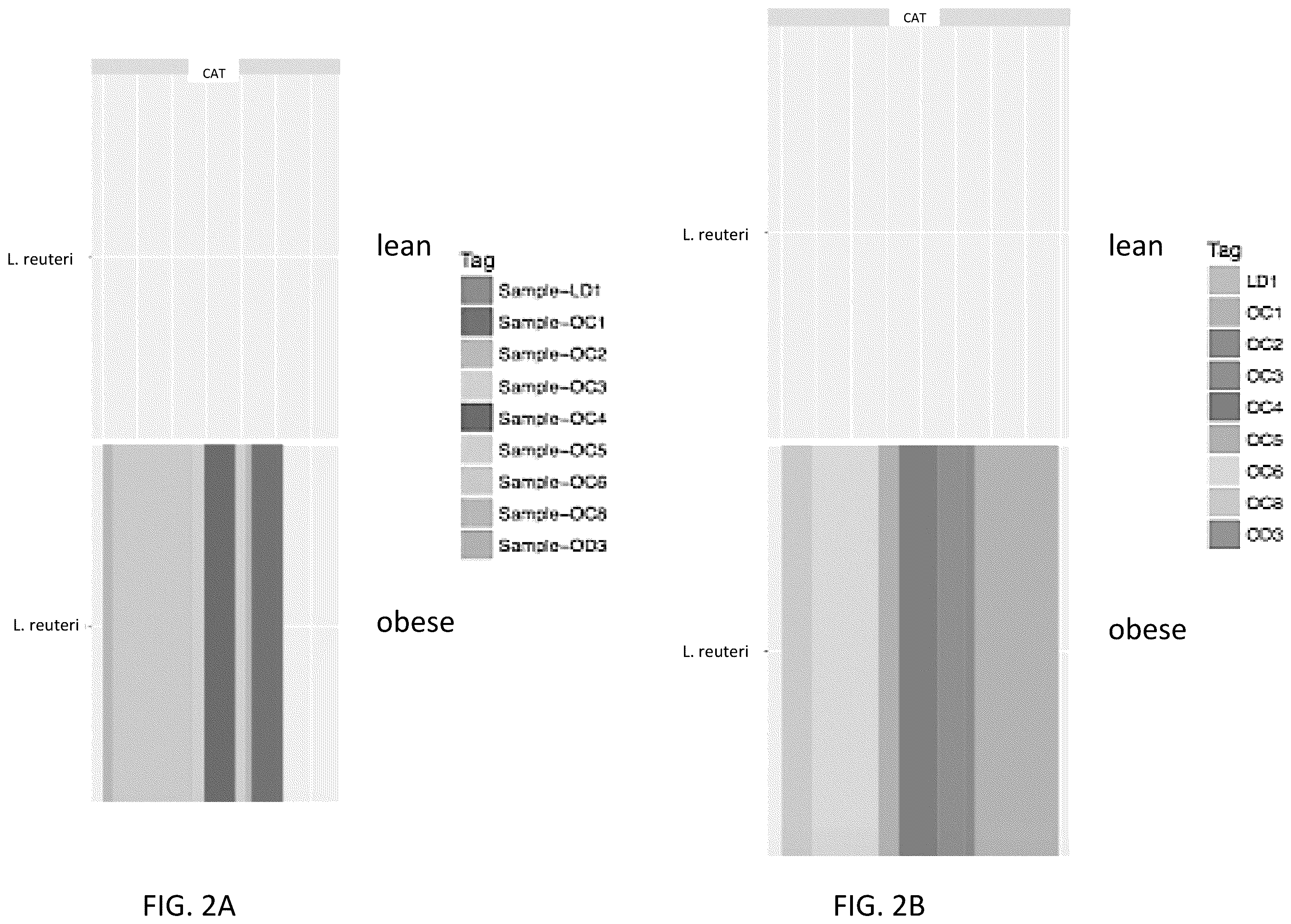 Patent US12378611 Figure 2 – Microbiome markers and uses thereof