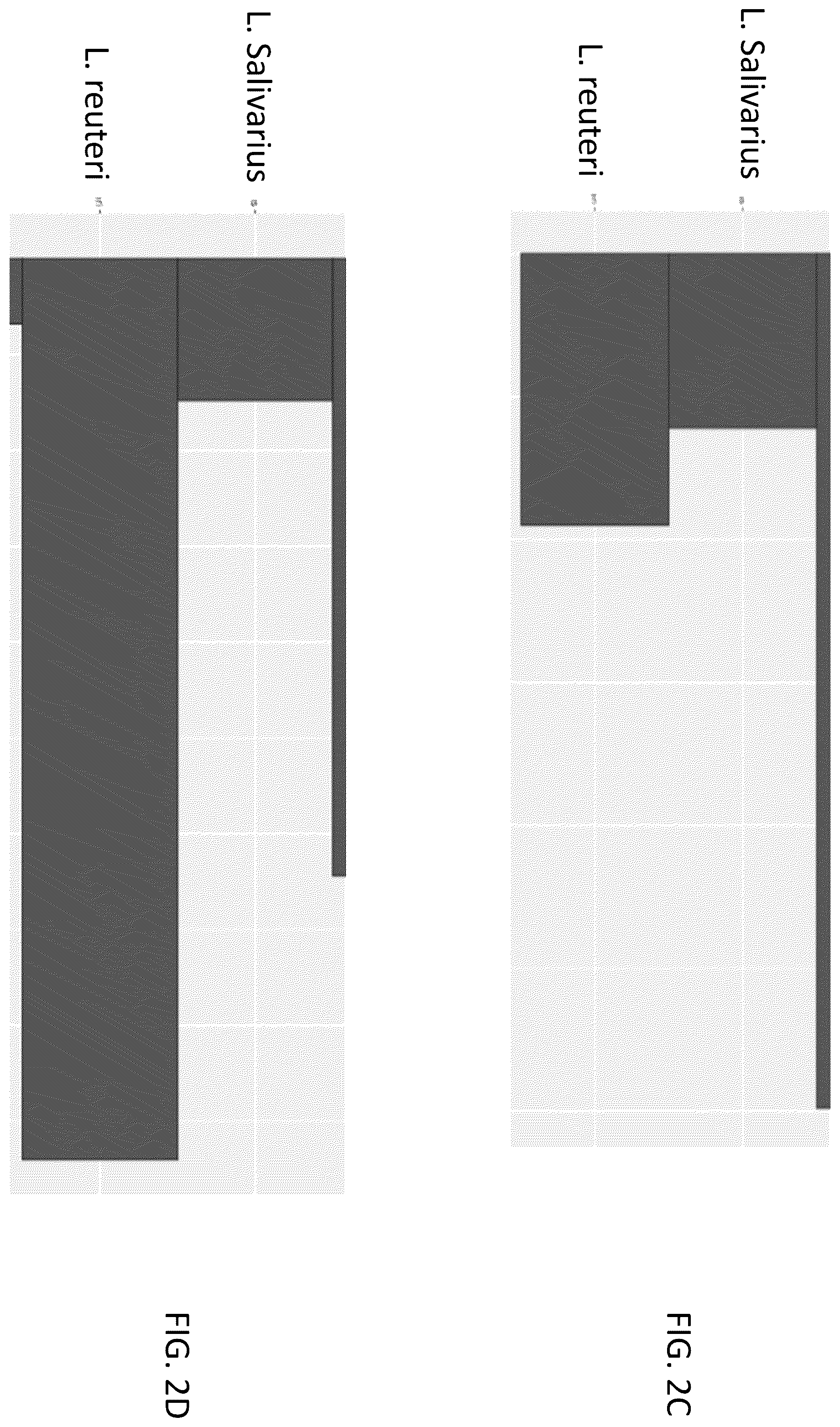Patent US12378611 Figure 3 – Microbiome markers and uses thereof