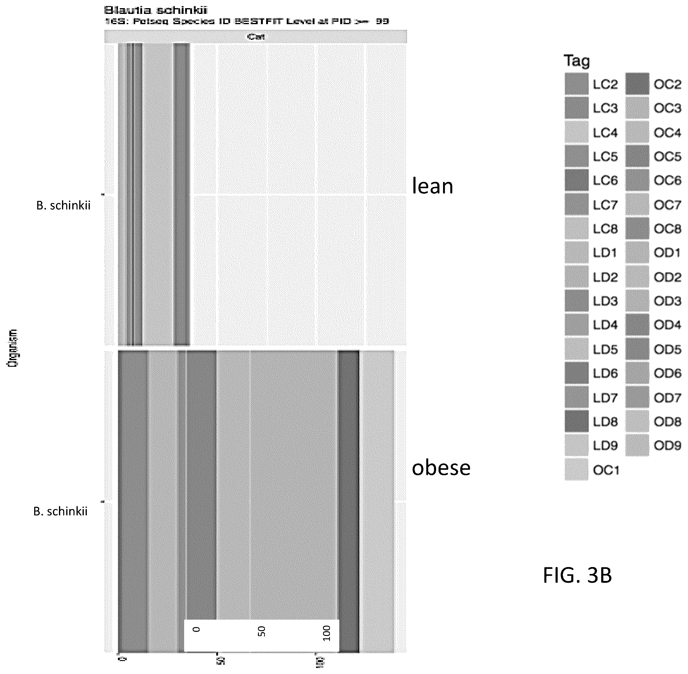 Patent US12378611 Figure 5 – Microbiome markers and uses thereof