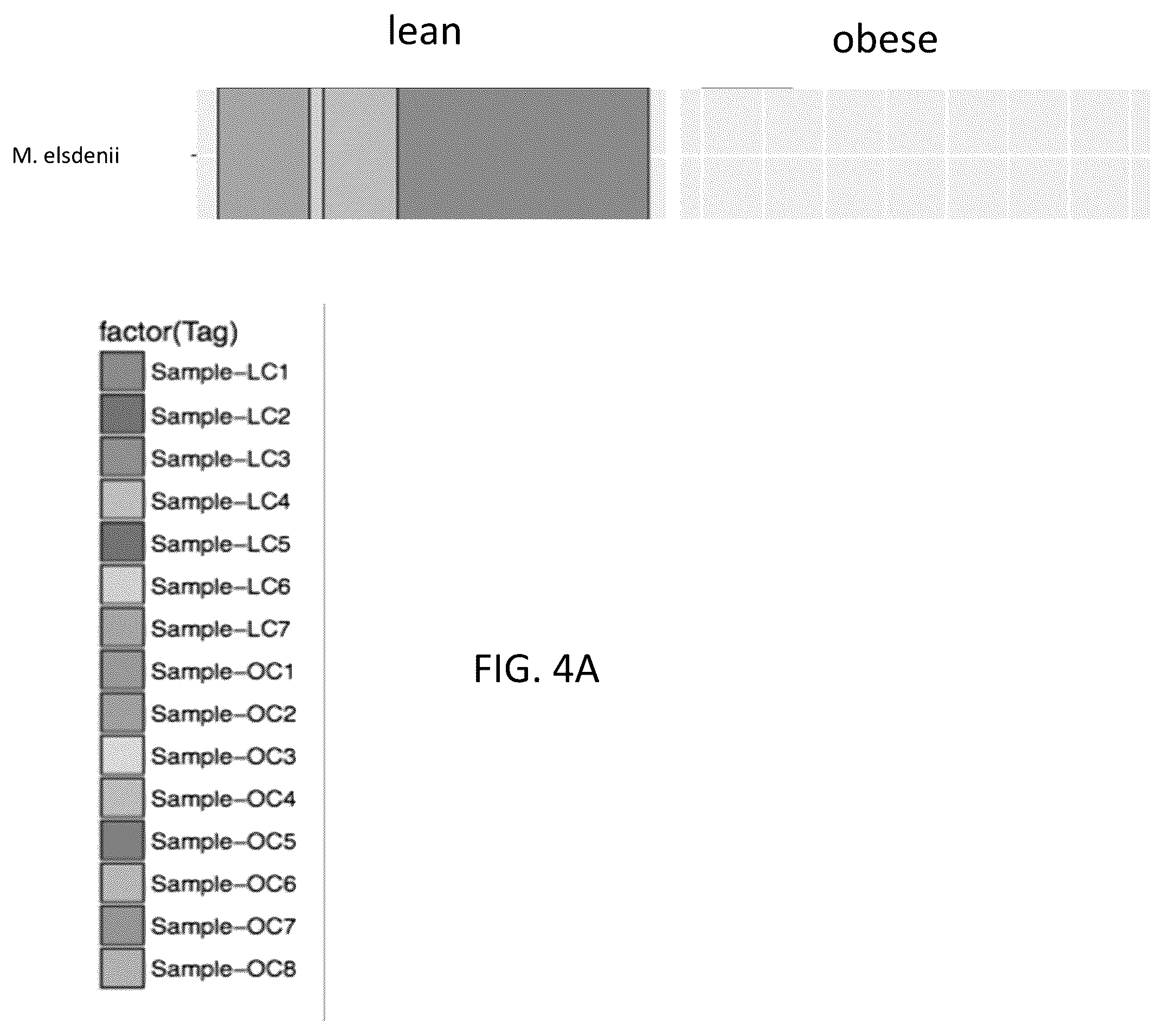 Patent US12378611 Figure 7 – Microbiome markers and uses thereof