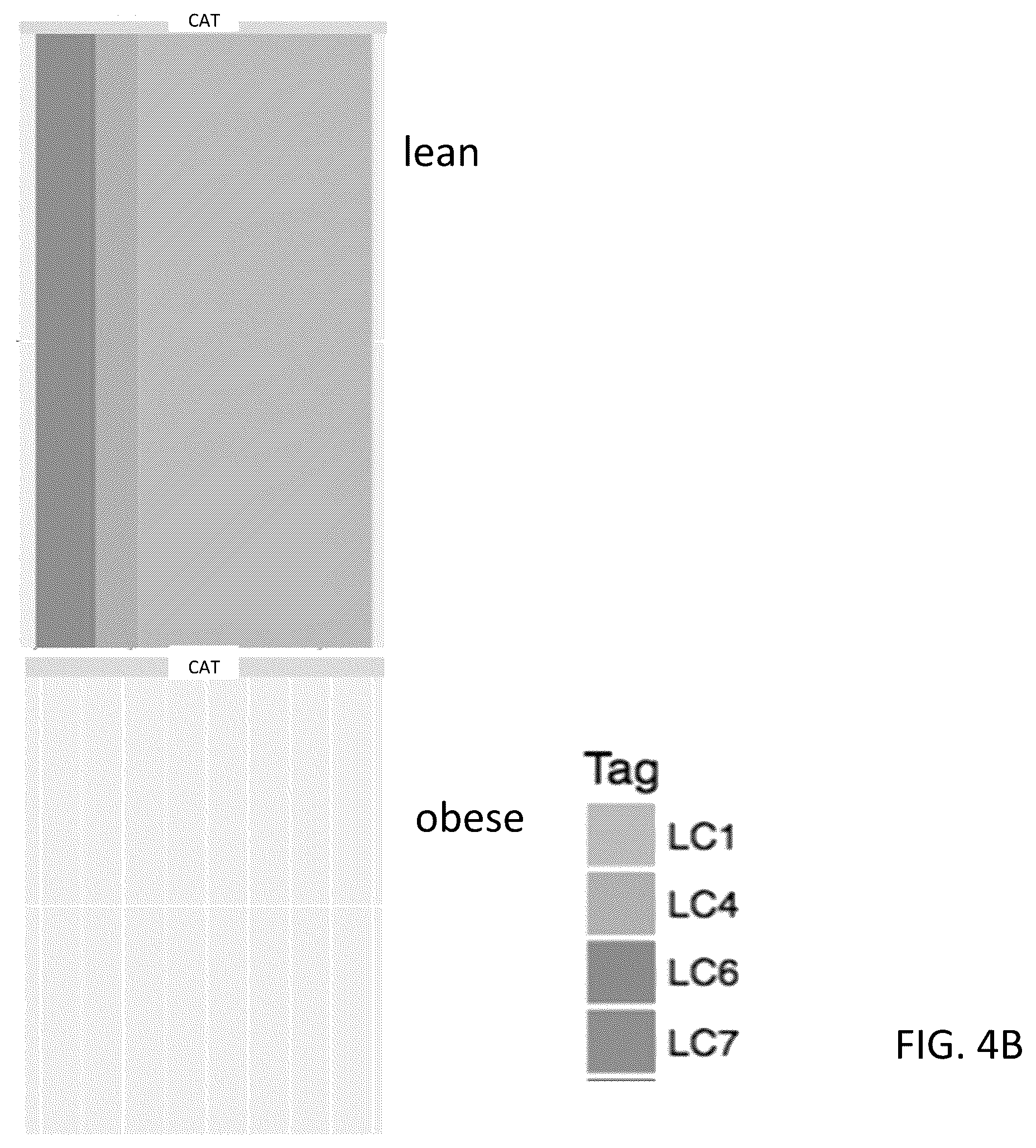 Patent US12378611 Figure 8 – Microbiome markers and uses thereof