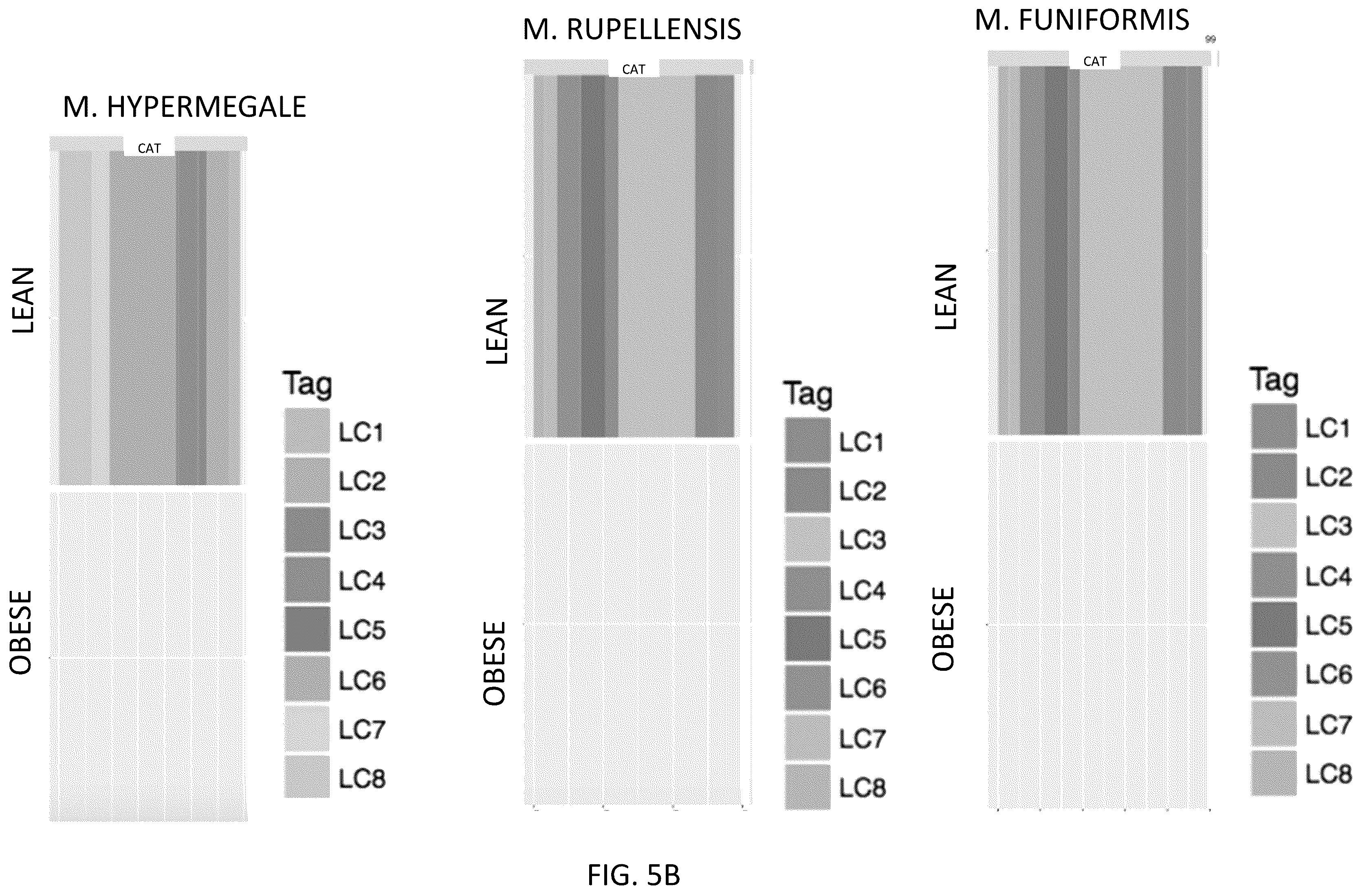 Patent US12378611 Figure 11 – Microbiome markers and uses thereof