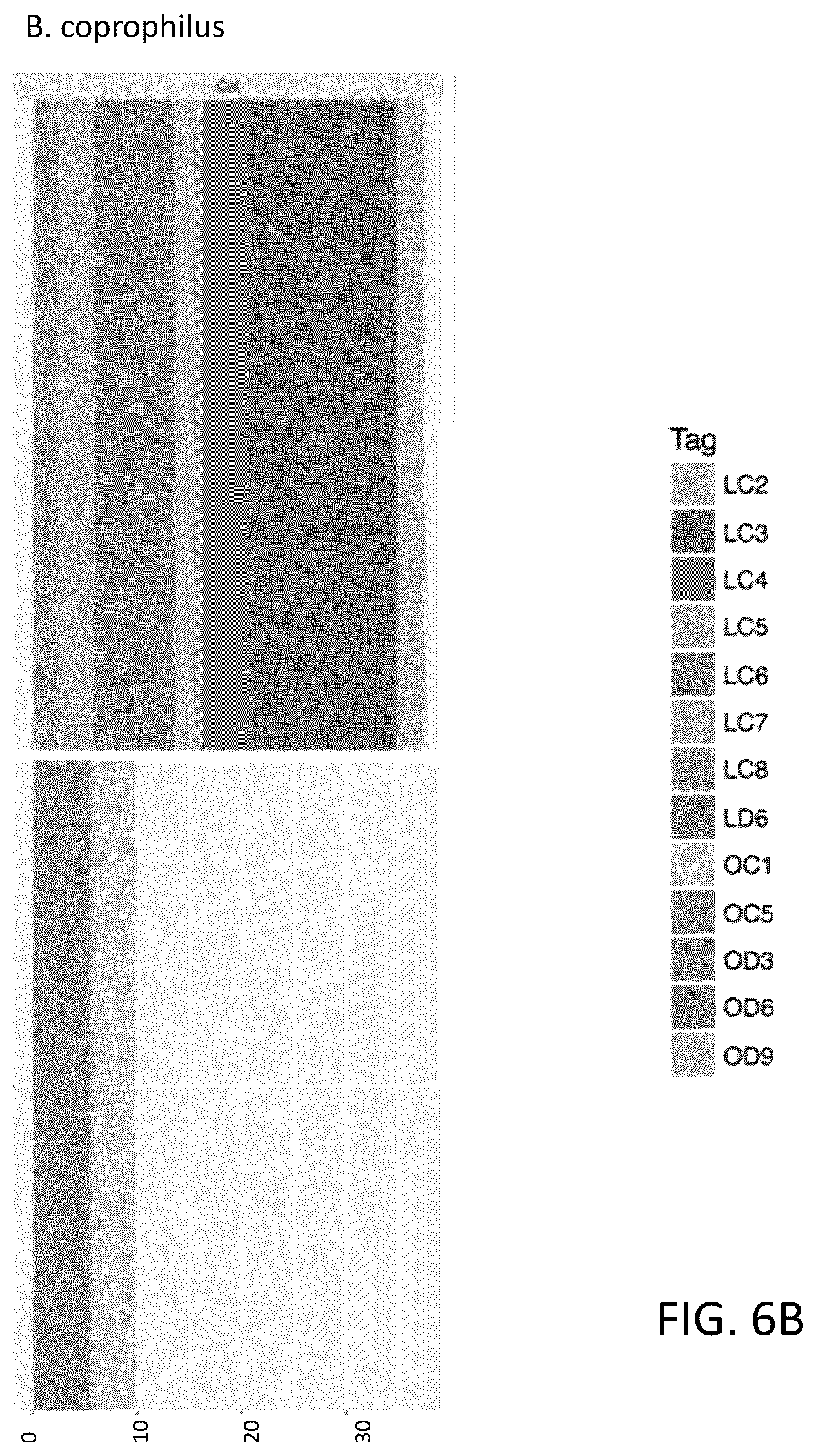 Patent US12378611 Figure 13 – Microbiome markers and uses thereof