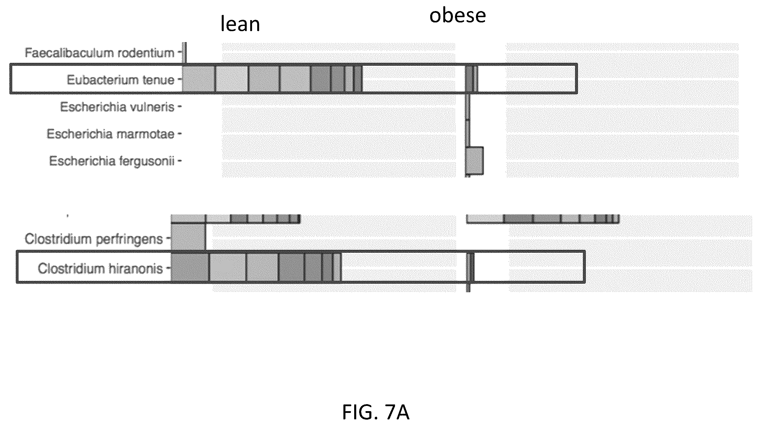 Patent US12378611 Figure 14 – Microbiome markers and uses thereof
