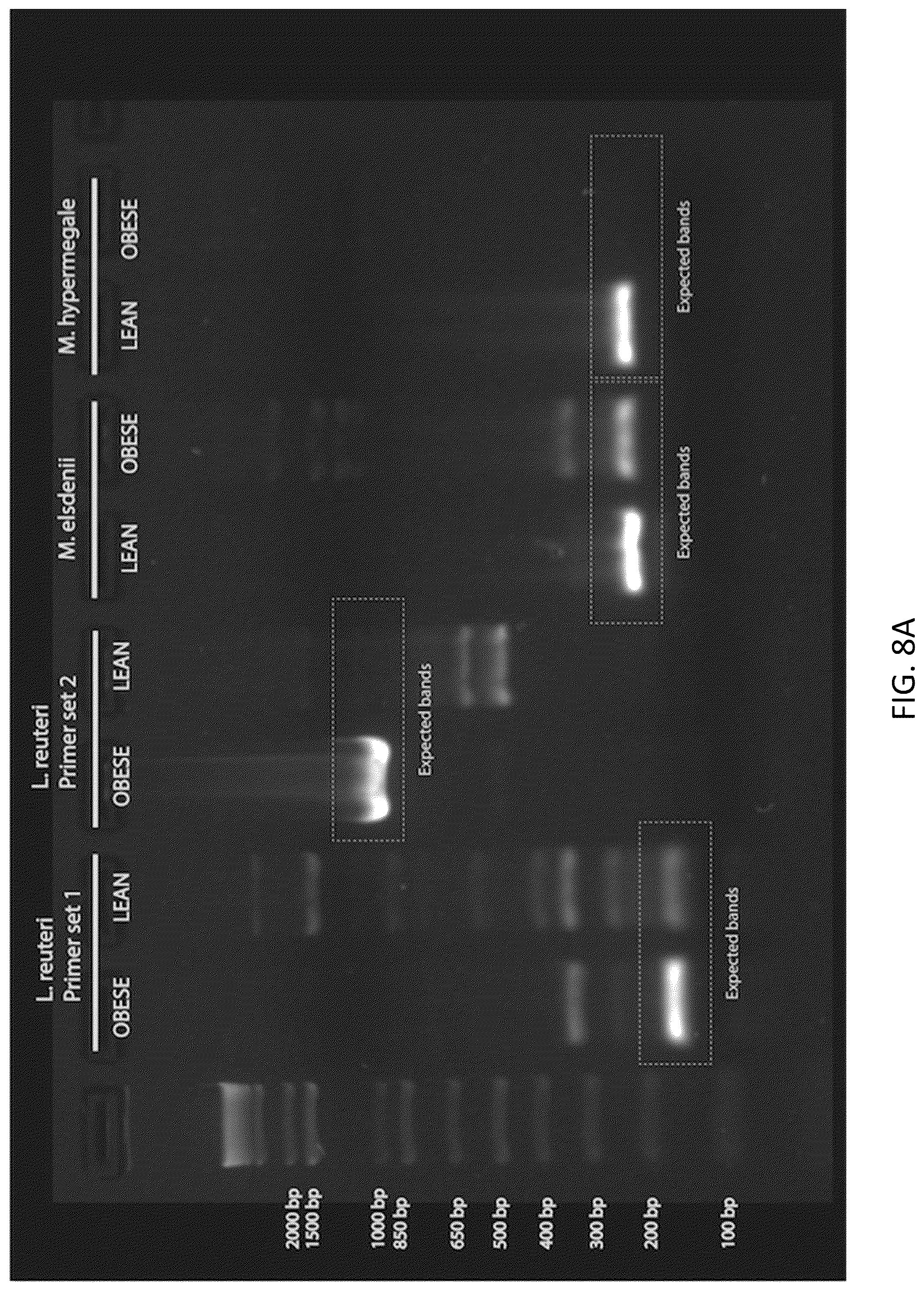 Patent US12378611 Figure 16 – Microbiome markers and uses thereof