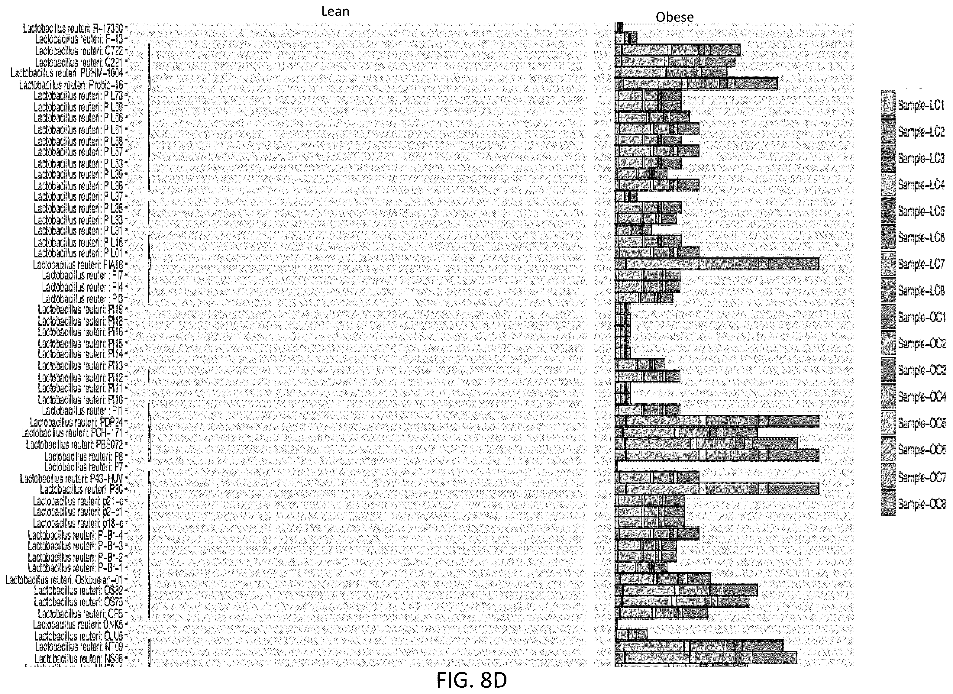 Patent US12378611 Figure 19 – Microbiome markers and uses thereof