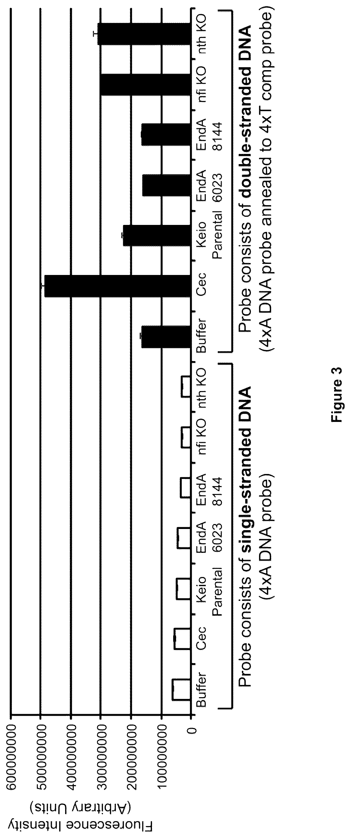 Patent US12378612 Figure 3 – Oligonucleotide-based probes and methods for detection of microbes
