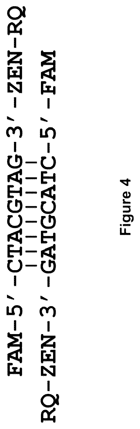 Patent US12378612 Figure 4 – Oligonucleotide-based probes and methods for detection of microbes