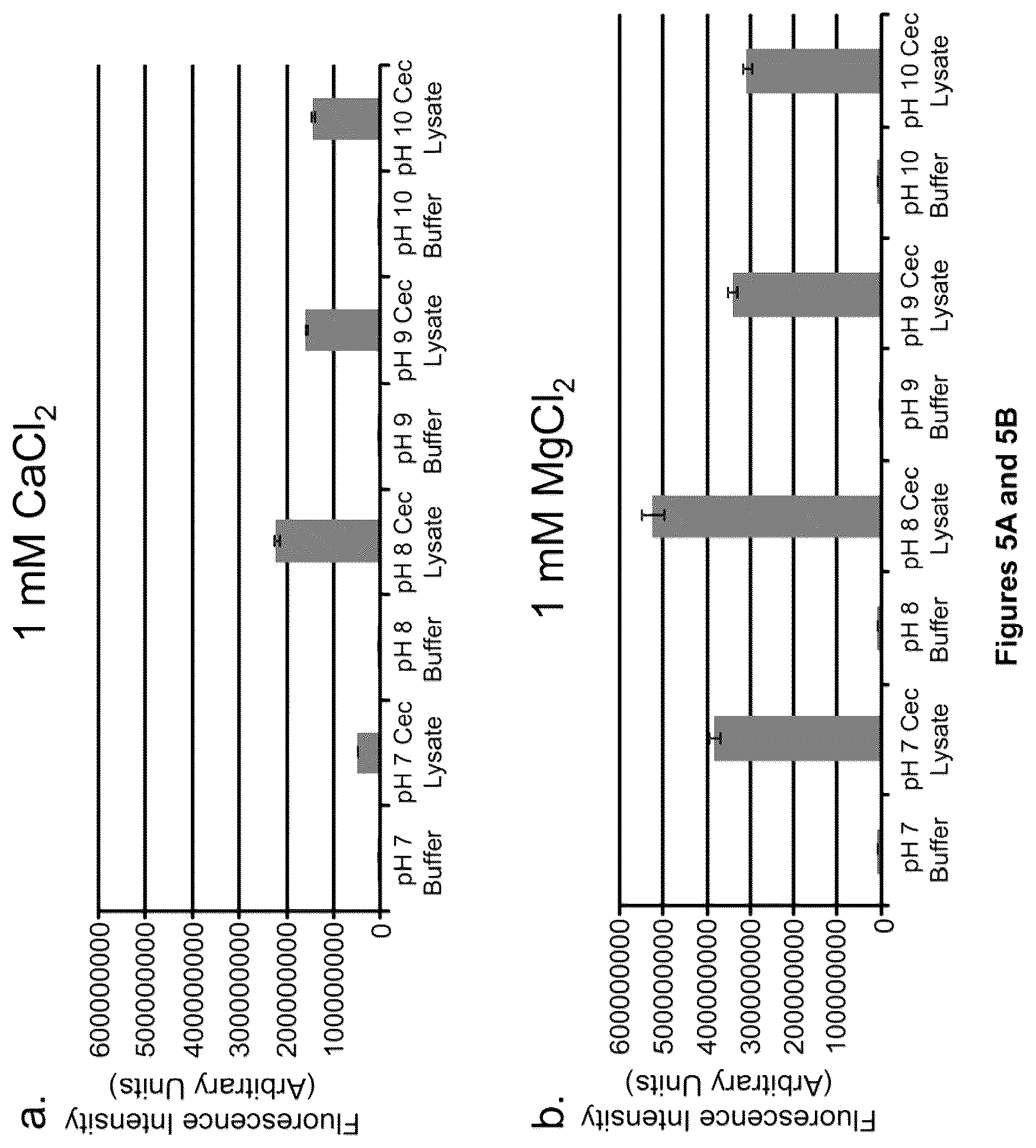 Patent US12378612 Figure 5 – Oligonucleotide-based probes and methods for detection of microbes