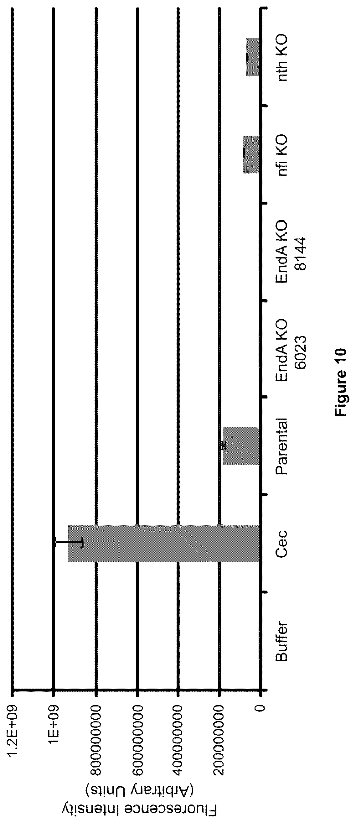 Patent US12378612 Figure 10 – Oligonucleotide-based probes and methods for detection of microbes