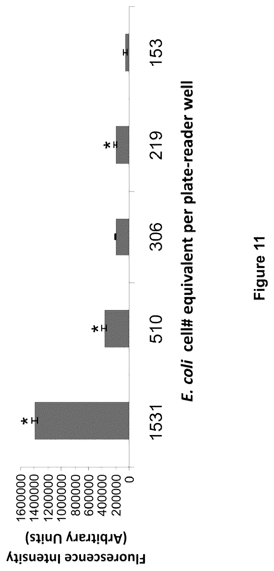 Patent US12378612 Figure 11 – Oligonucleotide-based probes and methods for detection of microbes