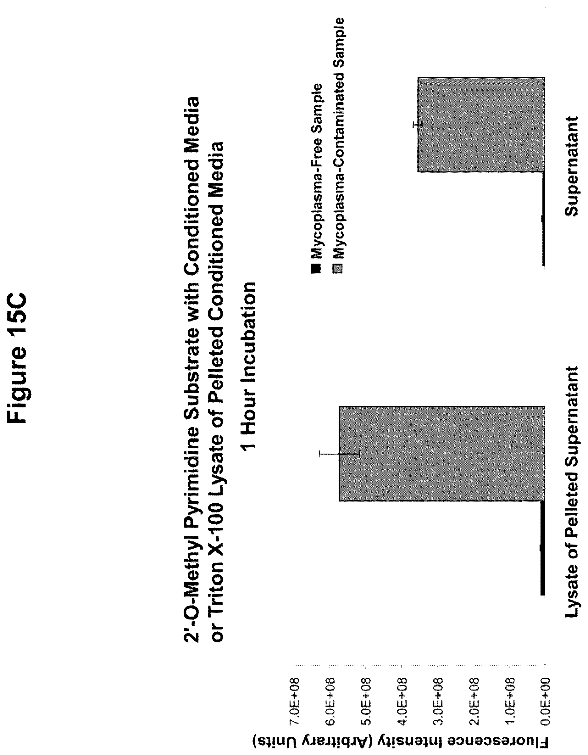 Patent US12378612 Figure 17 – Oligonucleotide-based probes and methods for detection of microbes