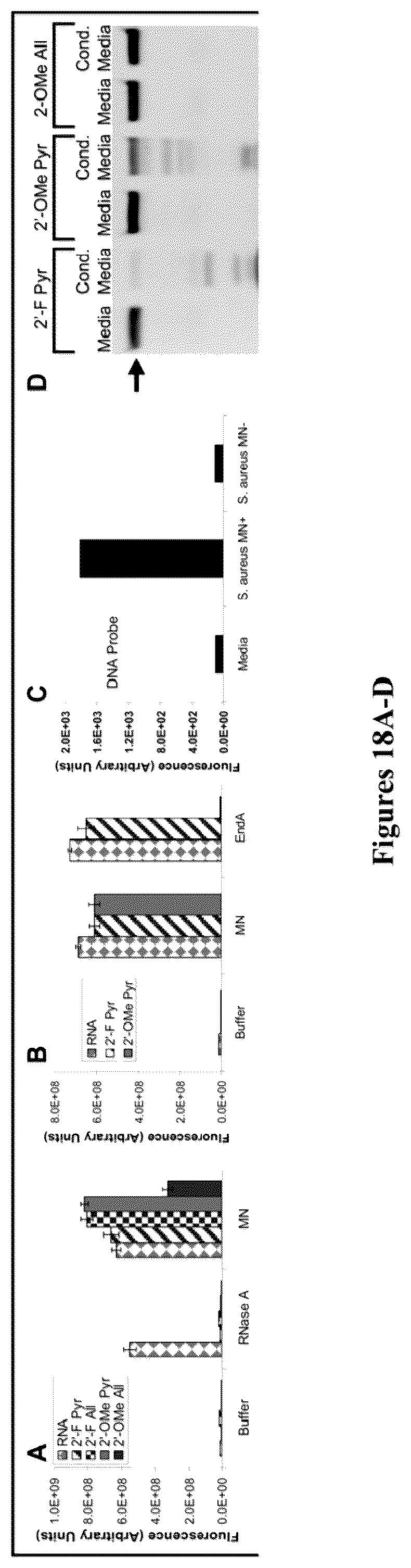 Patent US12378612 Figure 20 – Oligonucleotide-based probes and methods for detection of microbes
