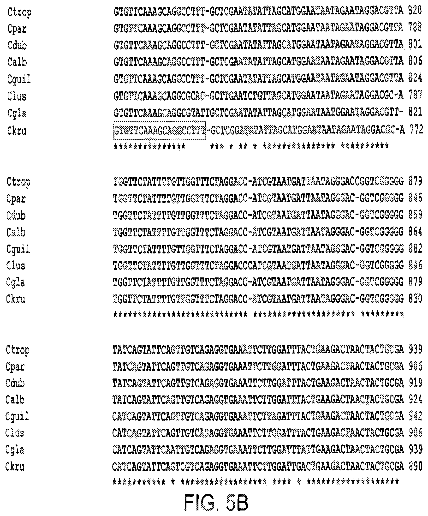 Patent US12378613 Figure 6 – Assays for fungal infection