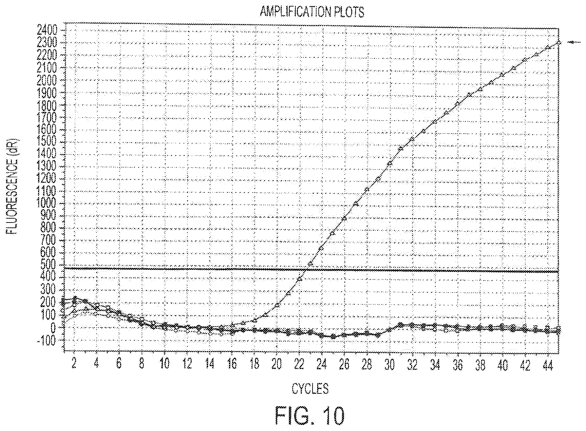 Patent US12378613 Figure 12 – Assays for fungal infection
