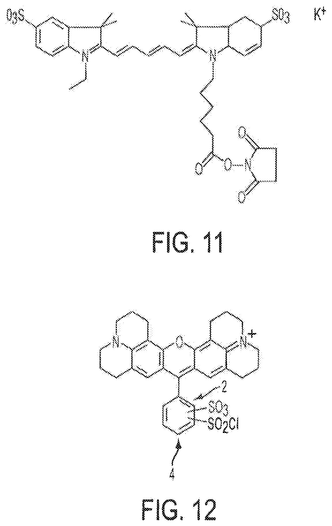 Patent US12378613 Figure 13 – Assays for fungal infection
