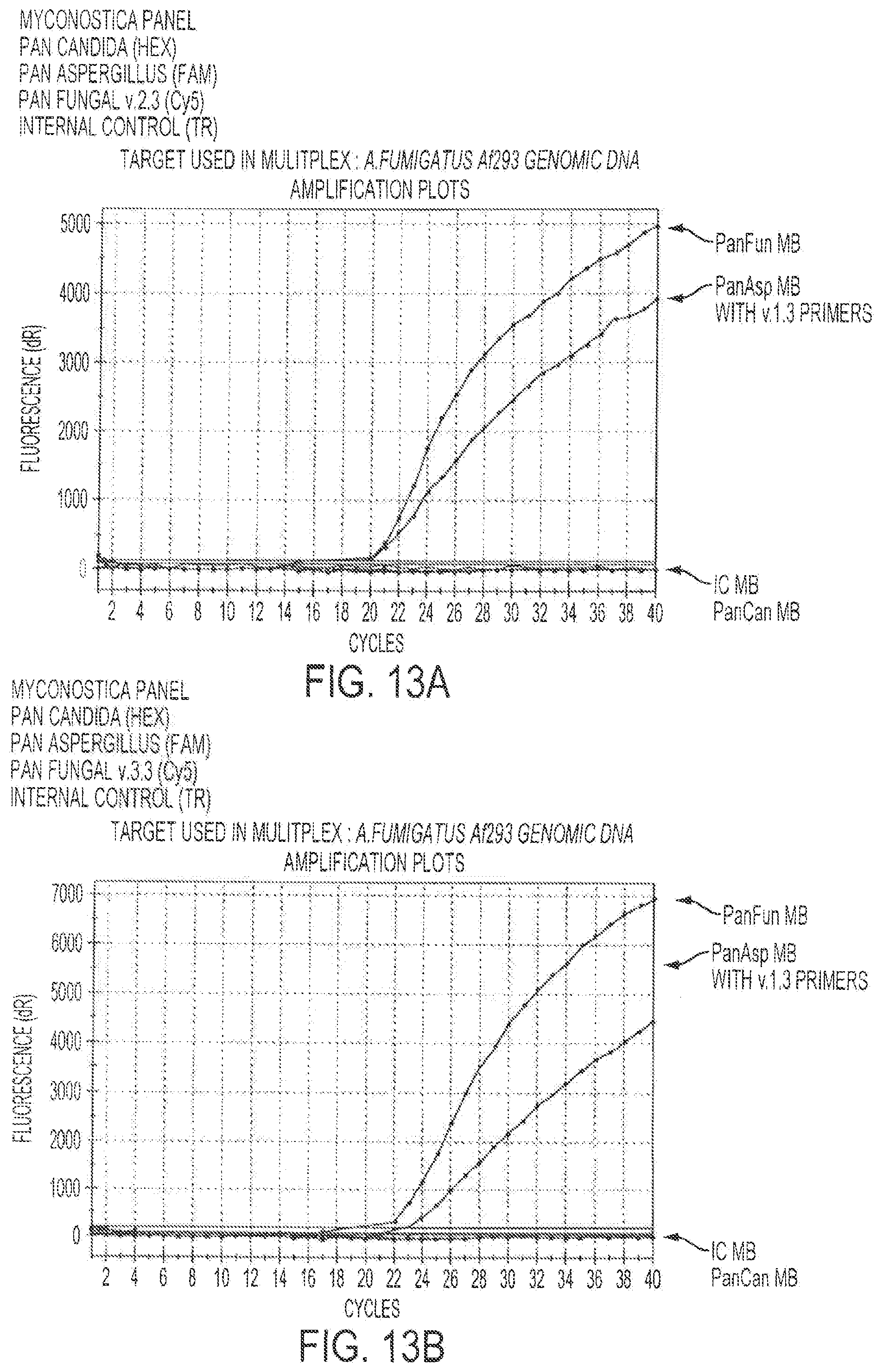Patent US12378613 Figure 14 – Assays for fungal infection