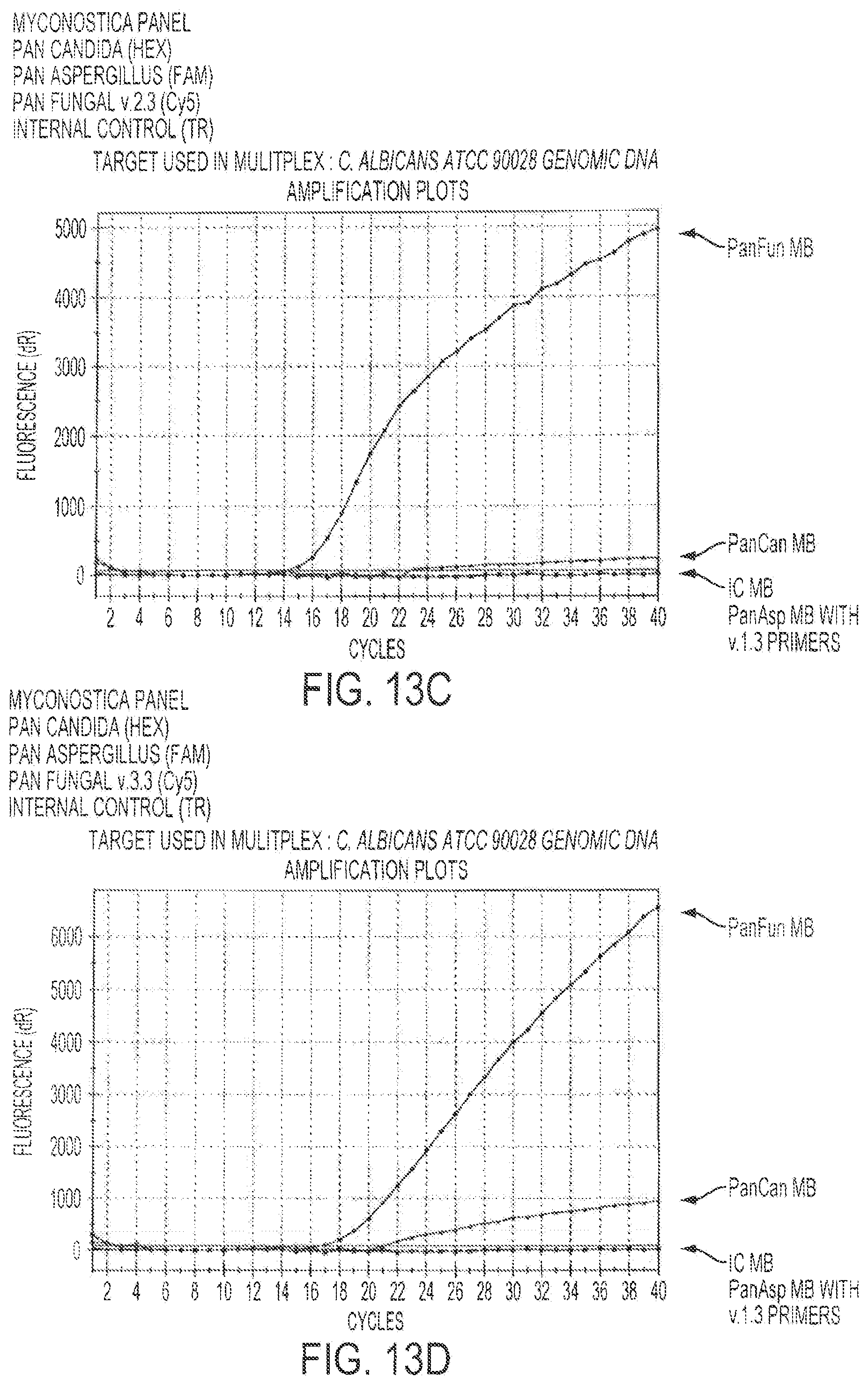 Patent US12378613 Figure 15 – Assays for fungal infection