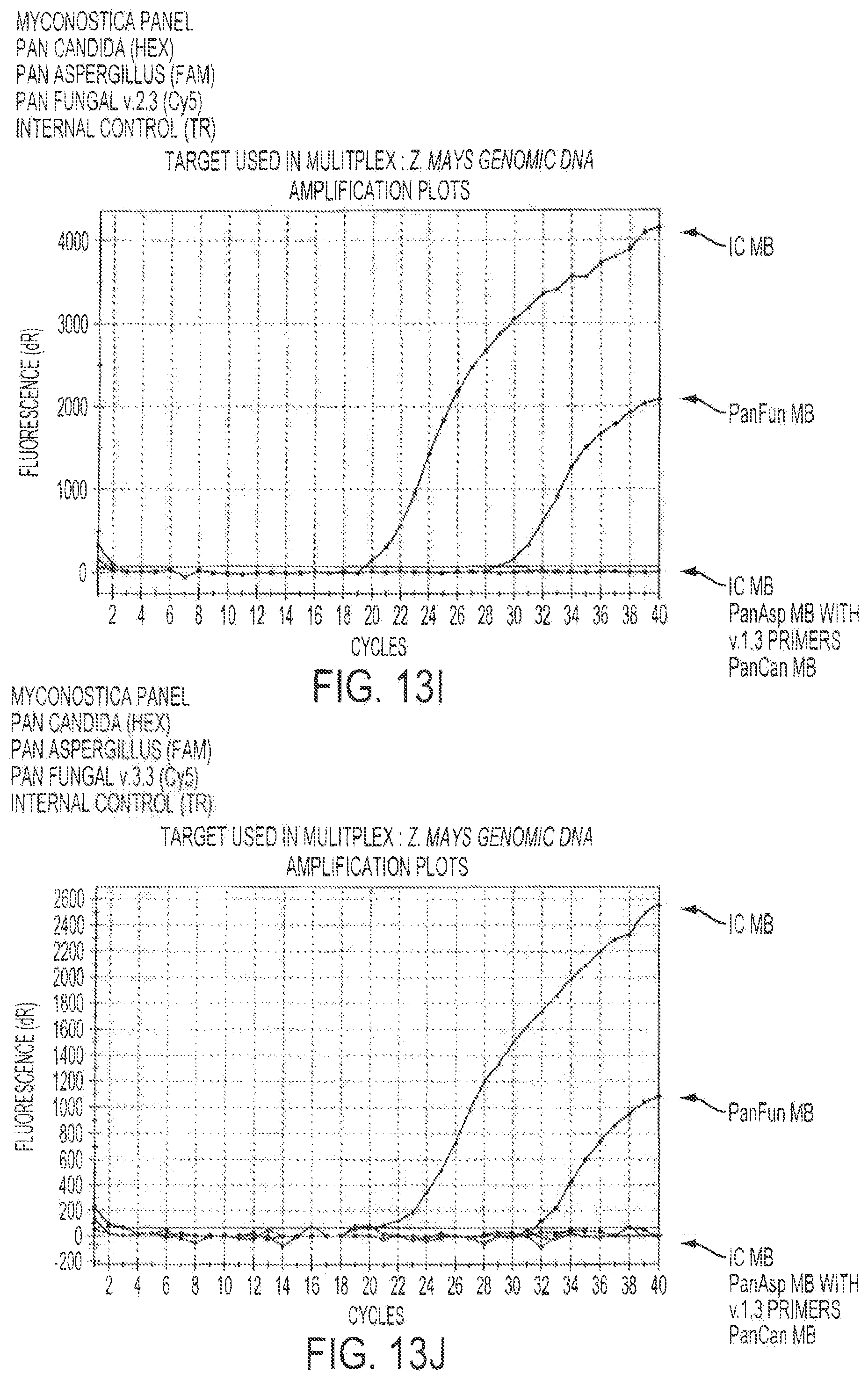 Patent US12378613 Figure 18 – Assays for fungal infection