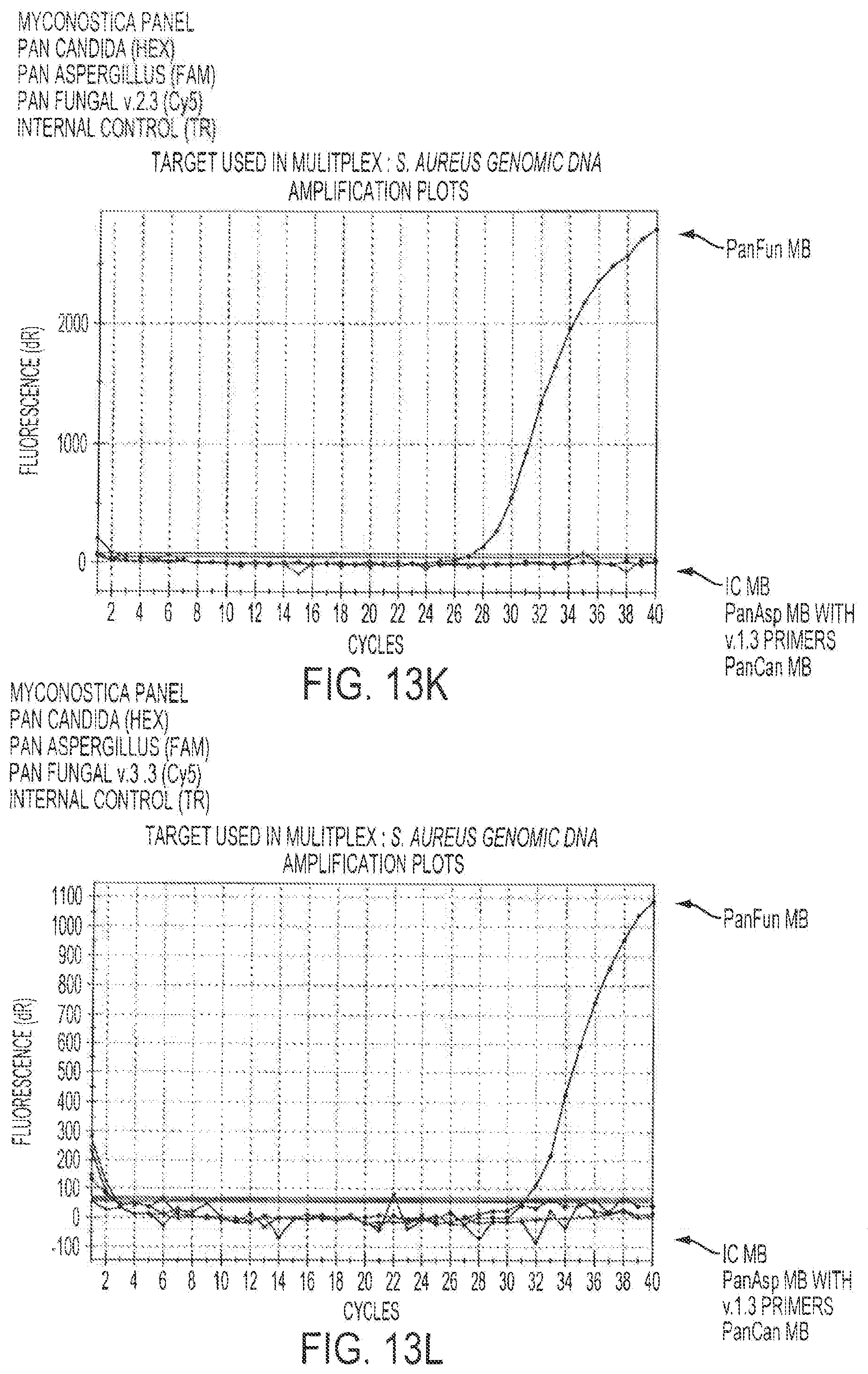 Patent US12378613 Figure 19 – Assays for fungal infection