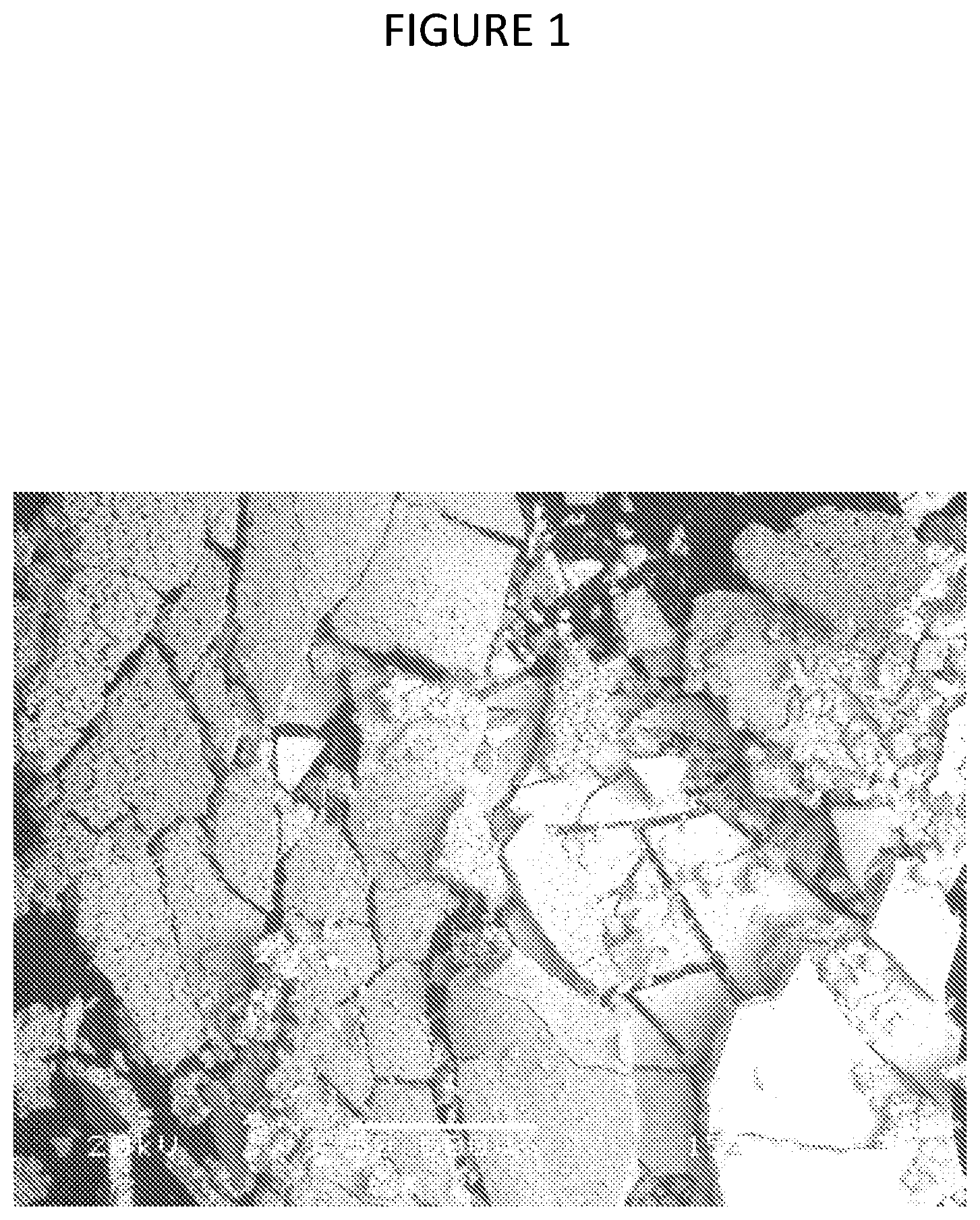 Patent US12378640 Figure 1 – Composition and method or recovering rare-earth elements