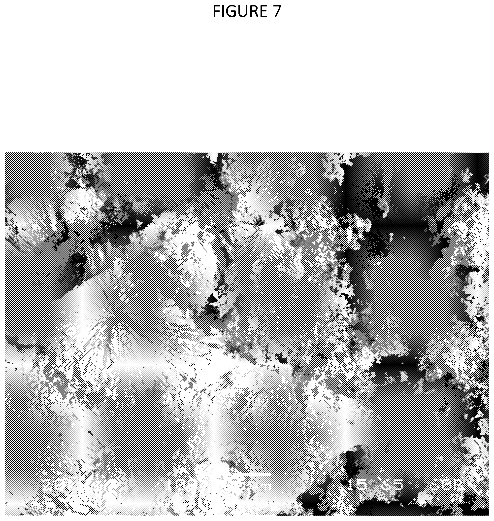Patent US12378640 Figure 7 – Composition and method or recovering rare-earth elements