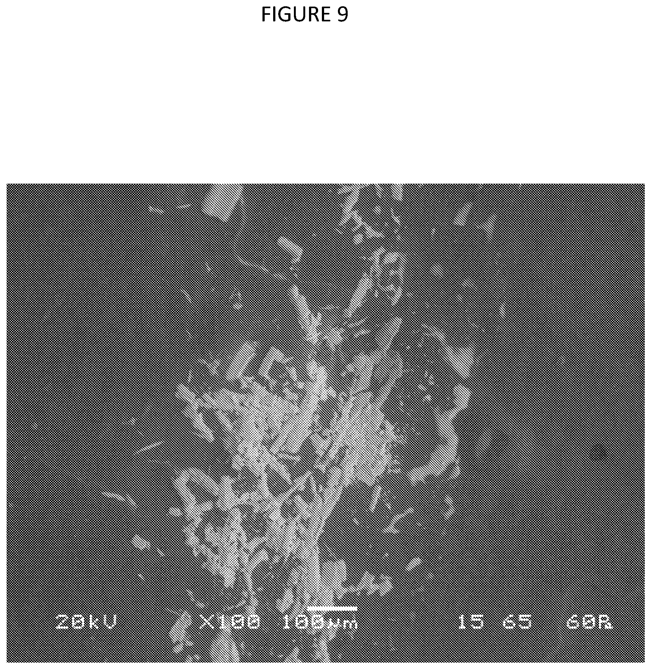 Patent US12378640 Figure 9 – Composition and method or recovering rare-earth elements