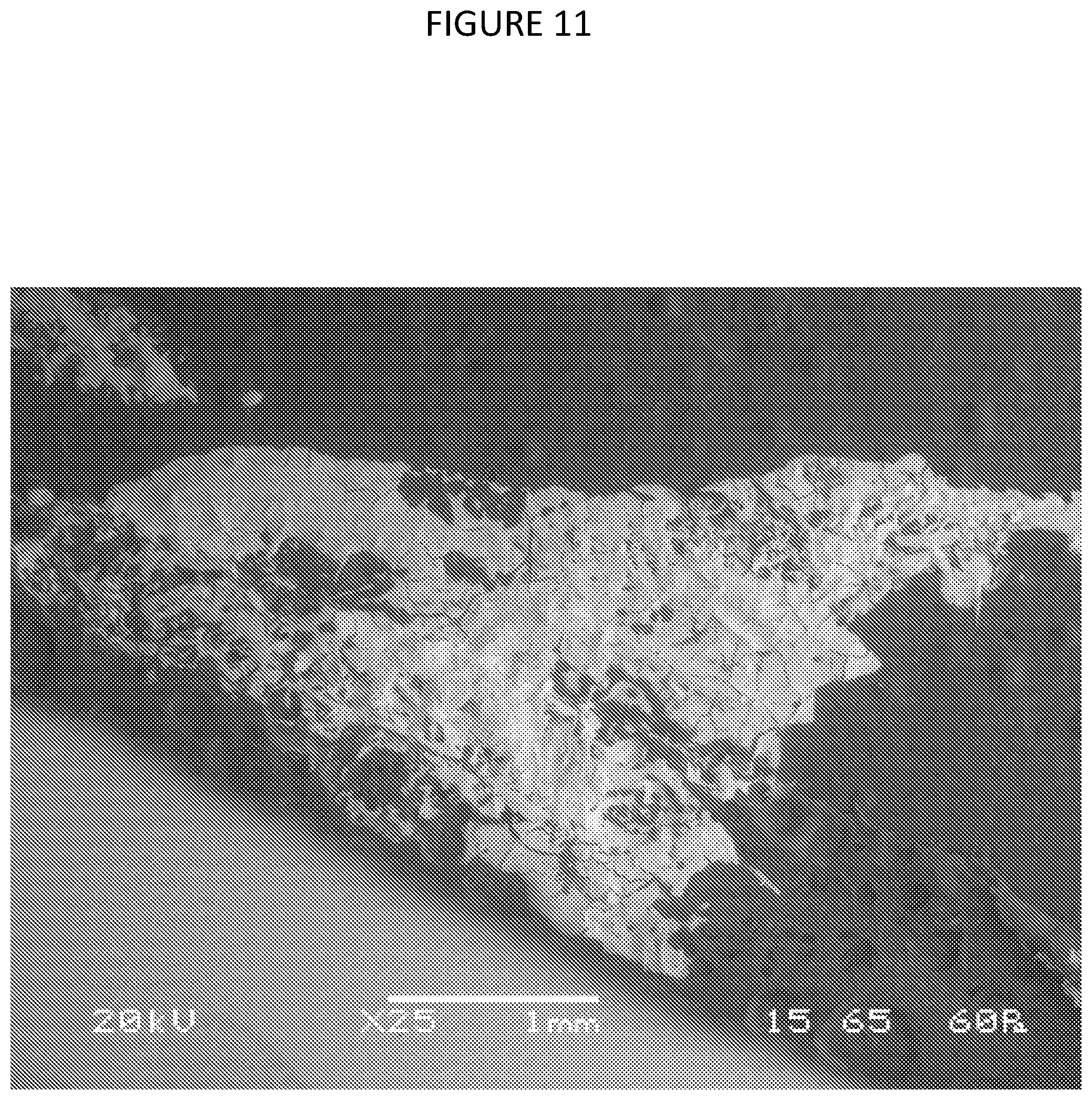Patent US12378640 Figure 11 – Composition and method or recovering rare-earth elements
