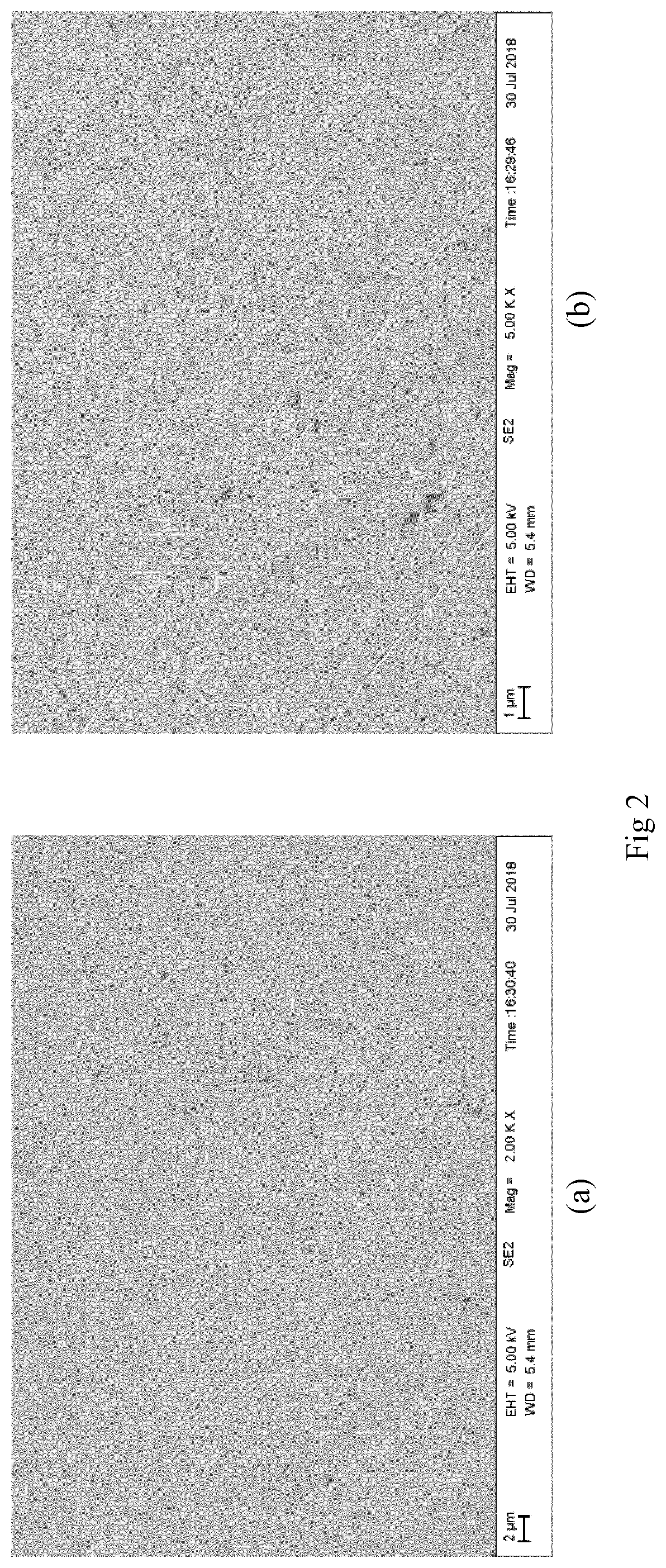 Patent US12378644 Figure 2 – Hard metal cemented carbide