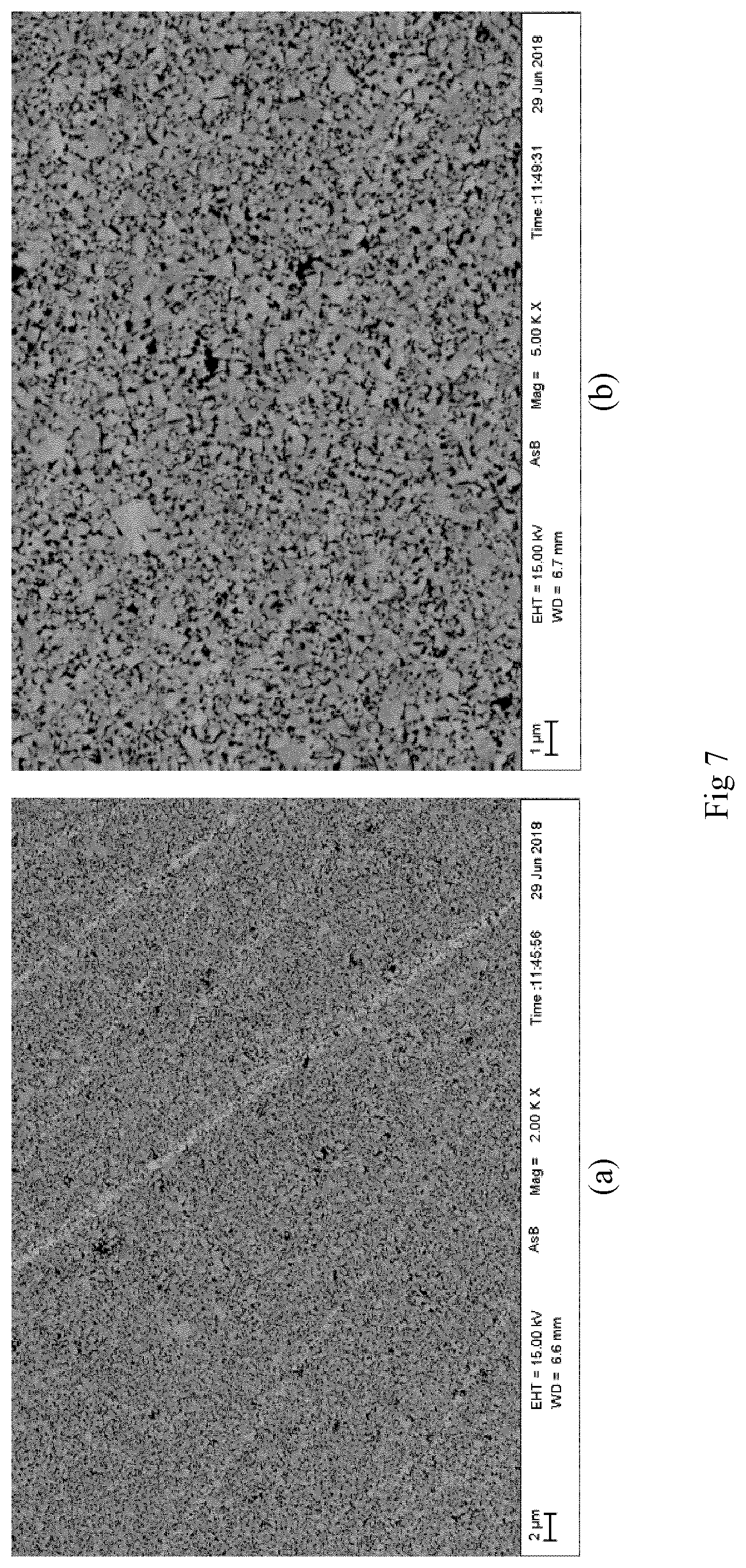 Patent US12378644 Figure 7 – Hard metal cemented carbide