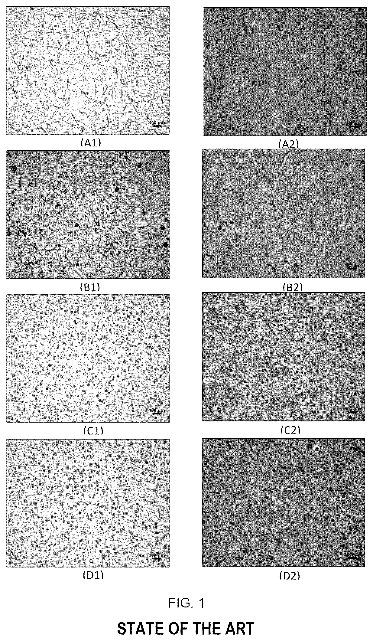 Patent US12378646 — Vermicular cast iron alloy, combustion engine block and head — Figure 1