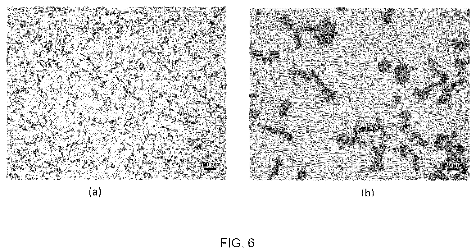 Patent US12378646 Figure 6 – Vermicular cast iron alloy, combustion engine block and head