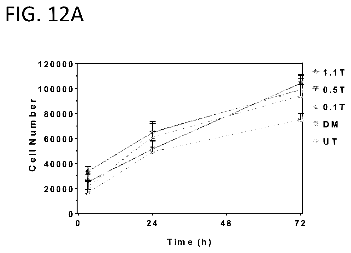 Patent US12378650 Figure 16 – Metal material and articles made therefrom having biological properties