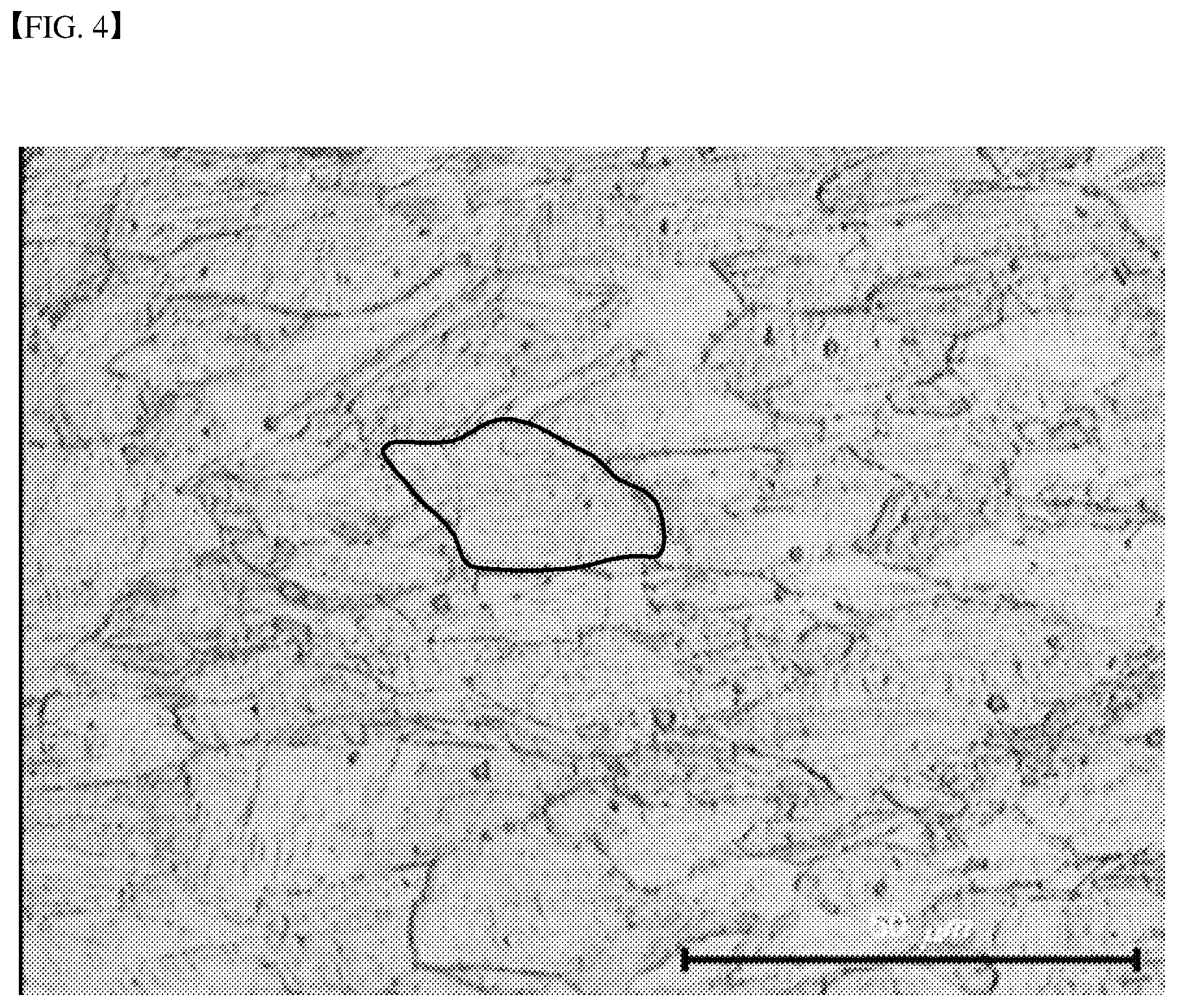 Patent US12378656 Figure 4 – Alloy metal plate and deposition mask including alloy metal plate
