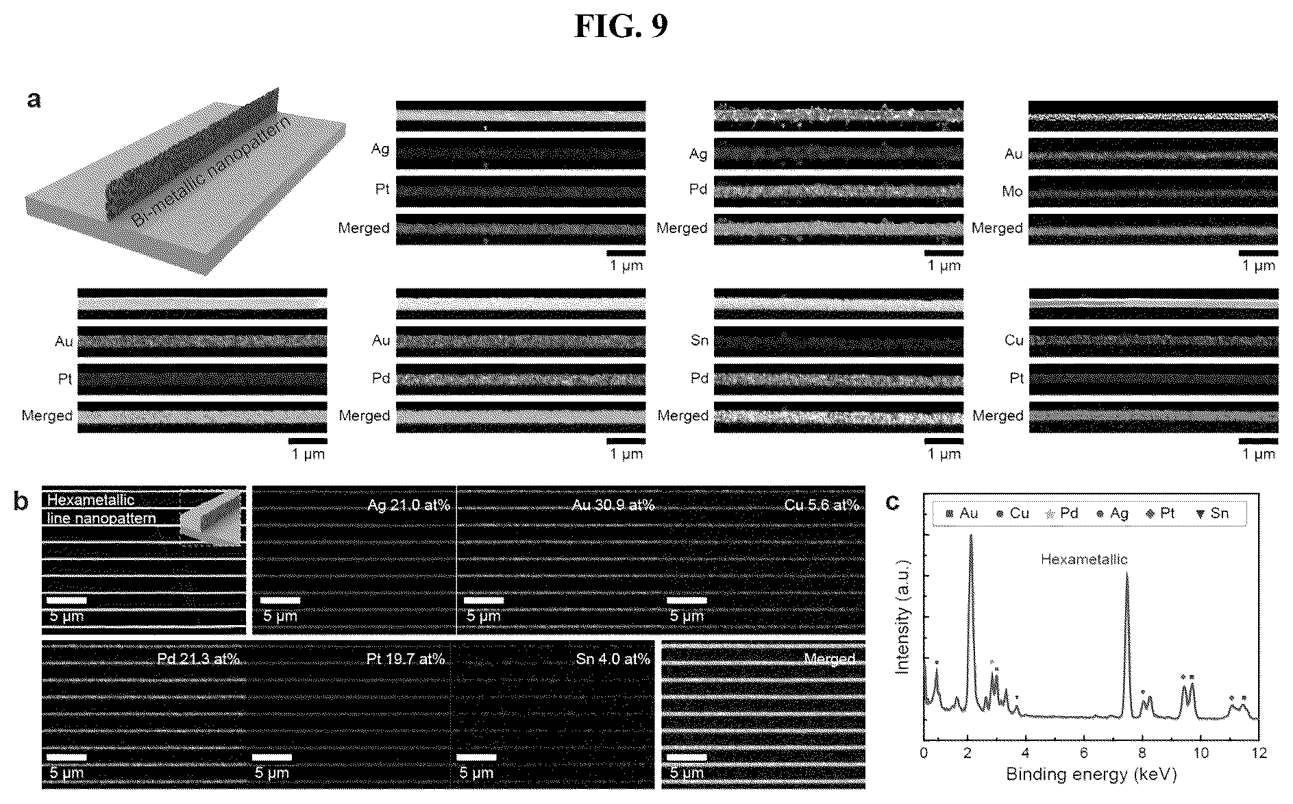 Patent US12378661 Figure 9 – Method of preparing multicomponent nanopattern