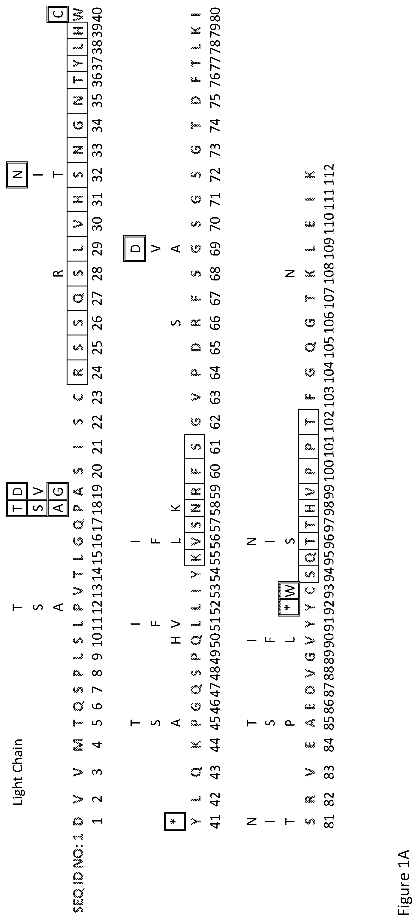 Patent US12378696 Figure 1 – Antibody library and method