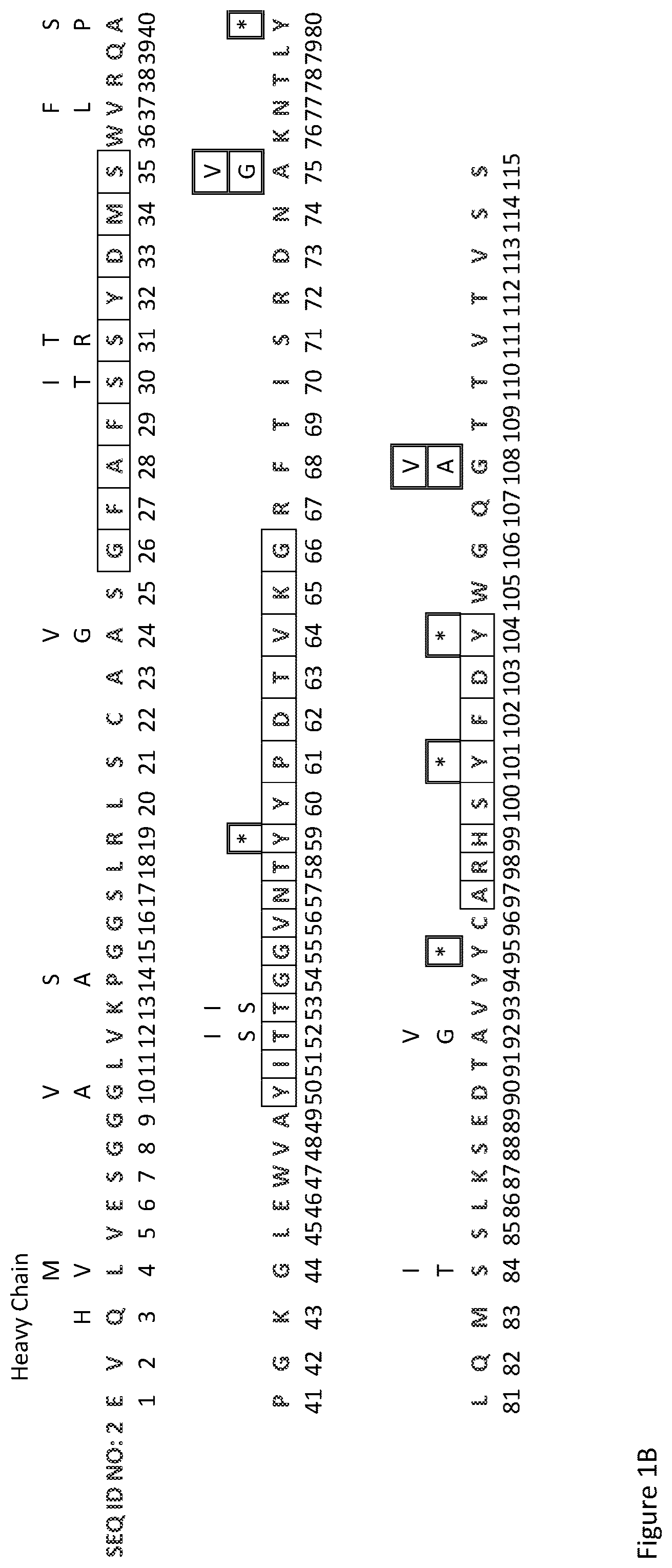 Patent US12378696 Figure 2 – Antibody library and method