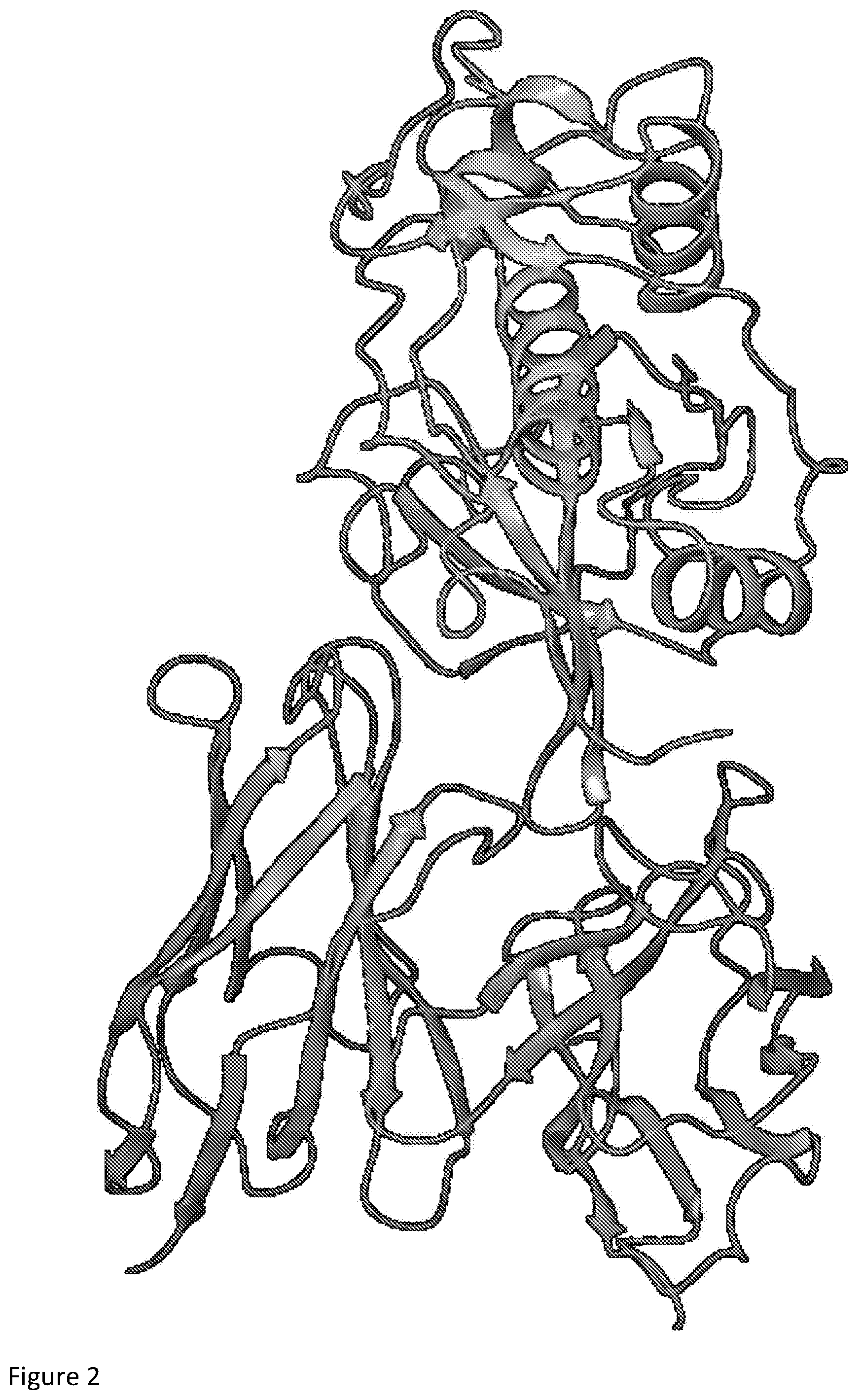 Patent US12378696 Figure 3 – Antibody library and method
