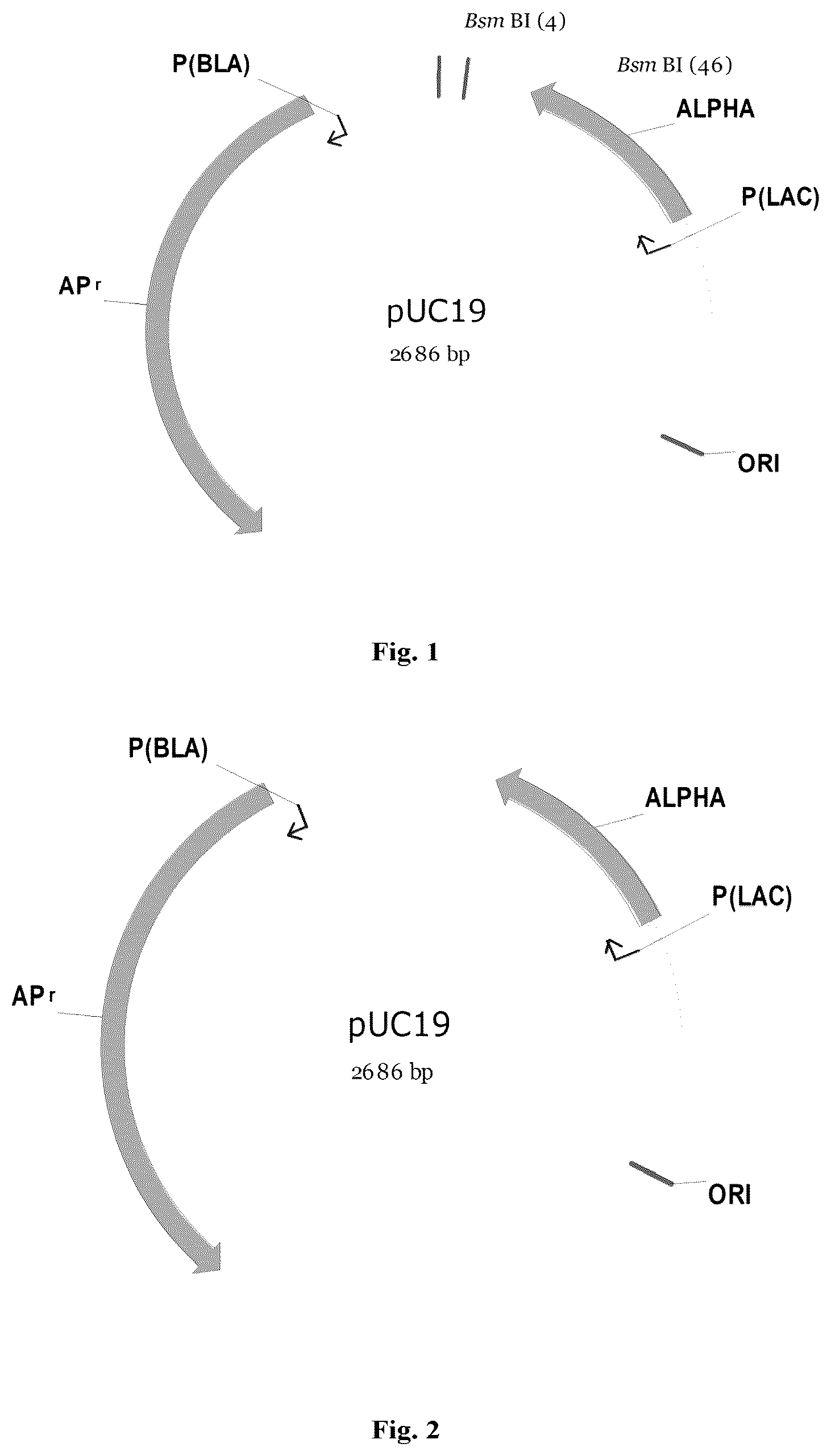 Patent US12378697 Figure 1 – Method for preparing phage library
