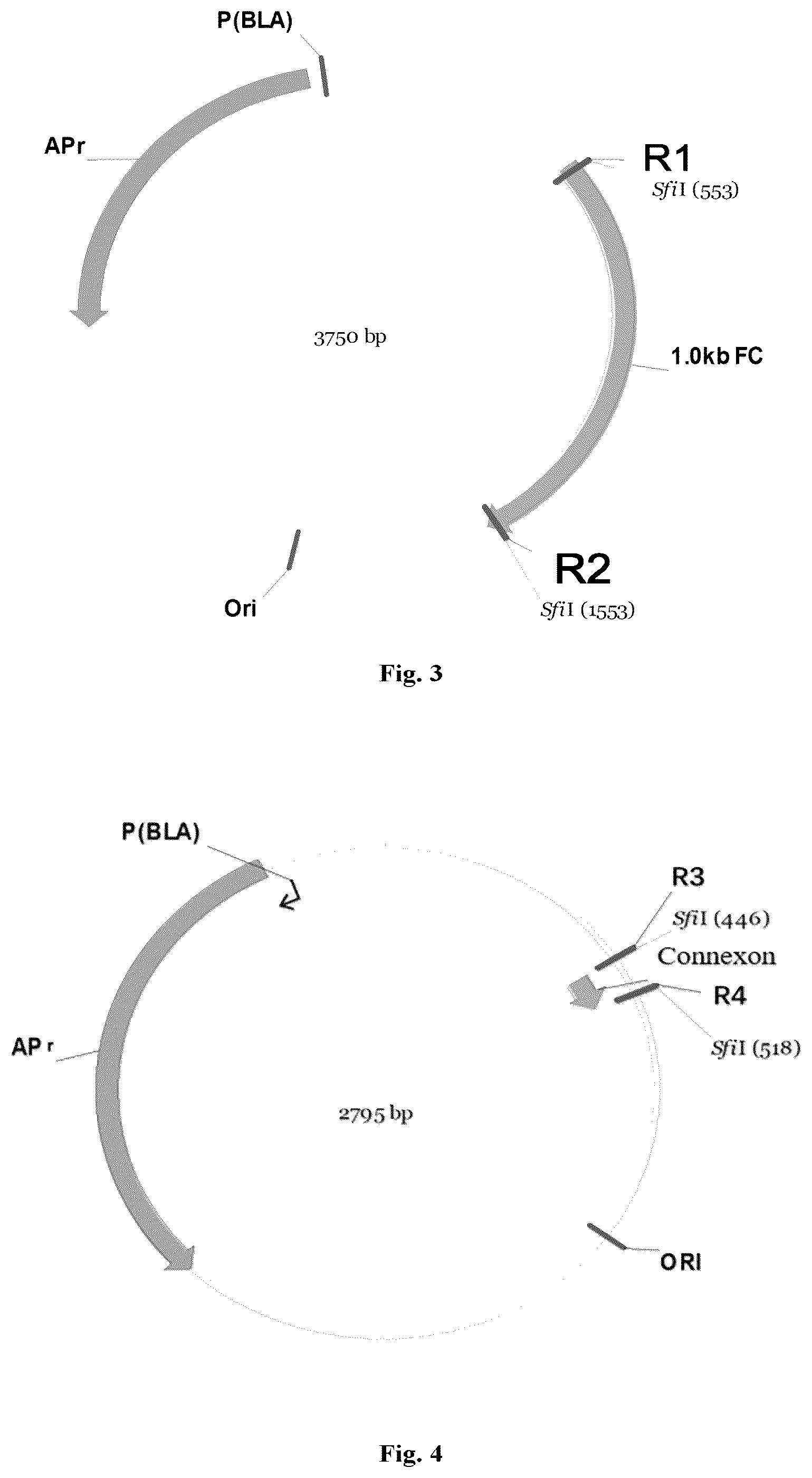 Patent US12378697 Figure 2 – Method for preparing phage library