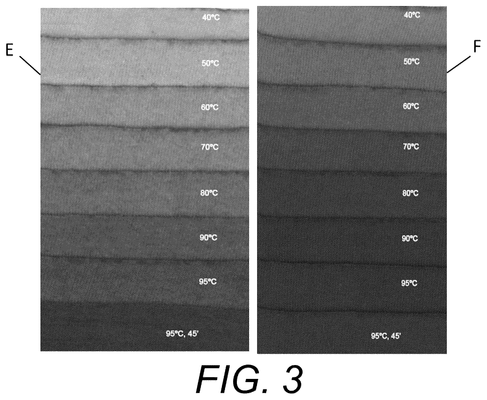 Patent US12378721 Figure 2 – Method for processing wool garments for inhibiting their subsequent felting and shrinkage, and a wool garment treated by the method