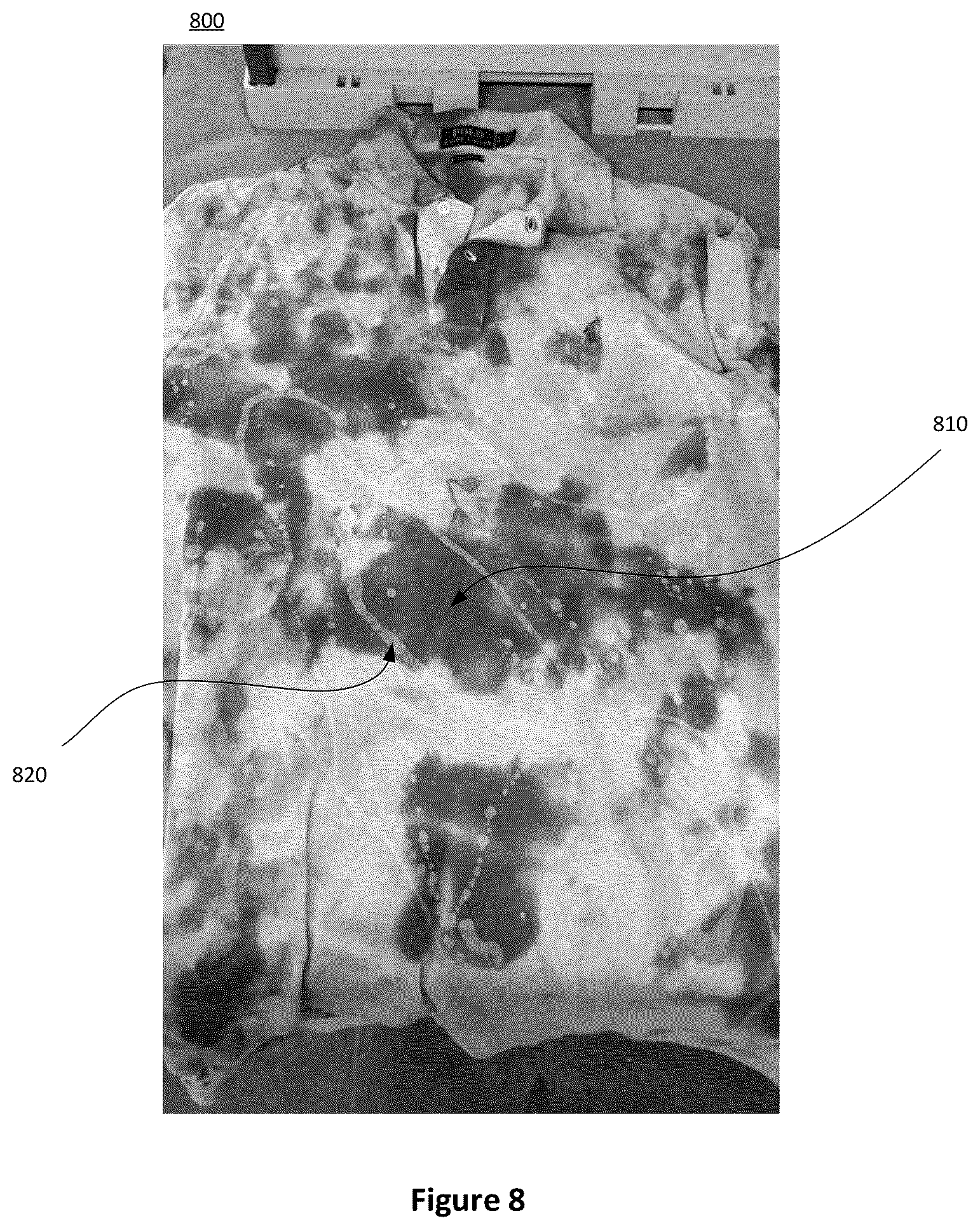 Patent US12378726 Figure 8 – Method and apparatus for dyeing garments