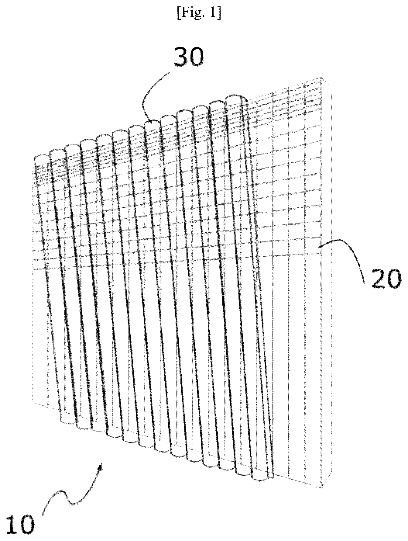 Patent US12386195 Figure 1 – Autostereoscopic screen, deemed to be of photographic quality