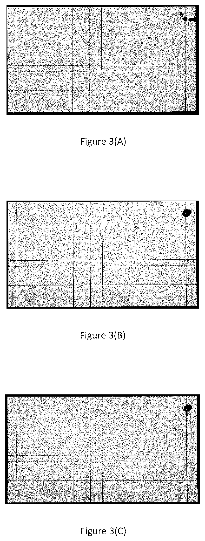 Patent US12386226 Figure 2 – Liquid crystal display devices
